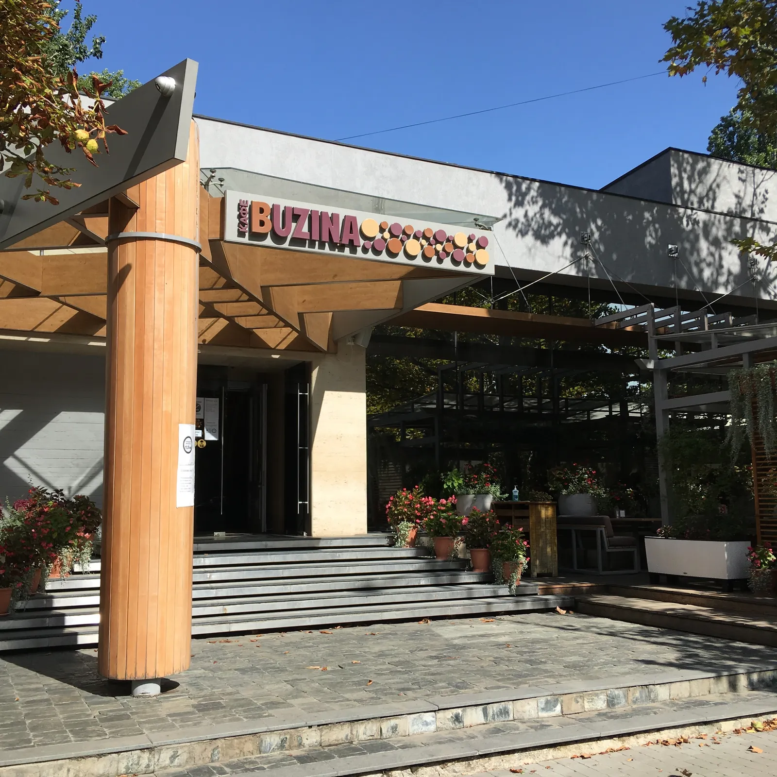 Buzina image 1