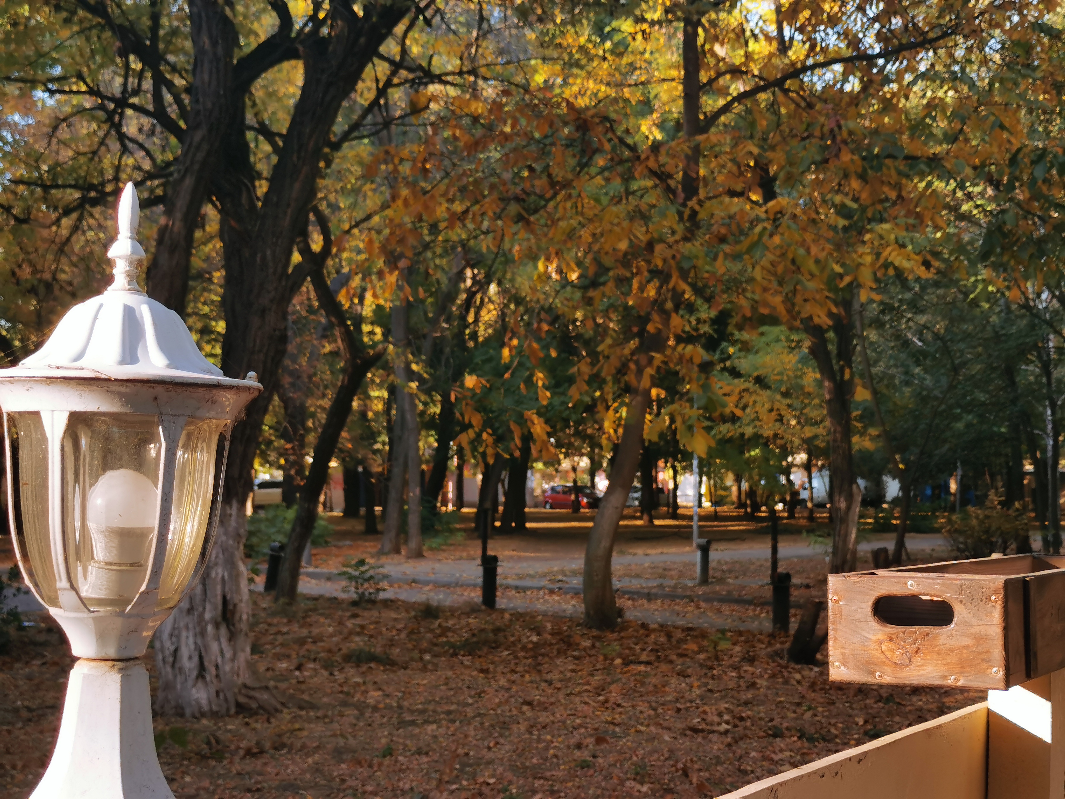 NonSolo Pizza image 3