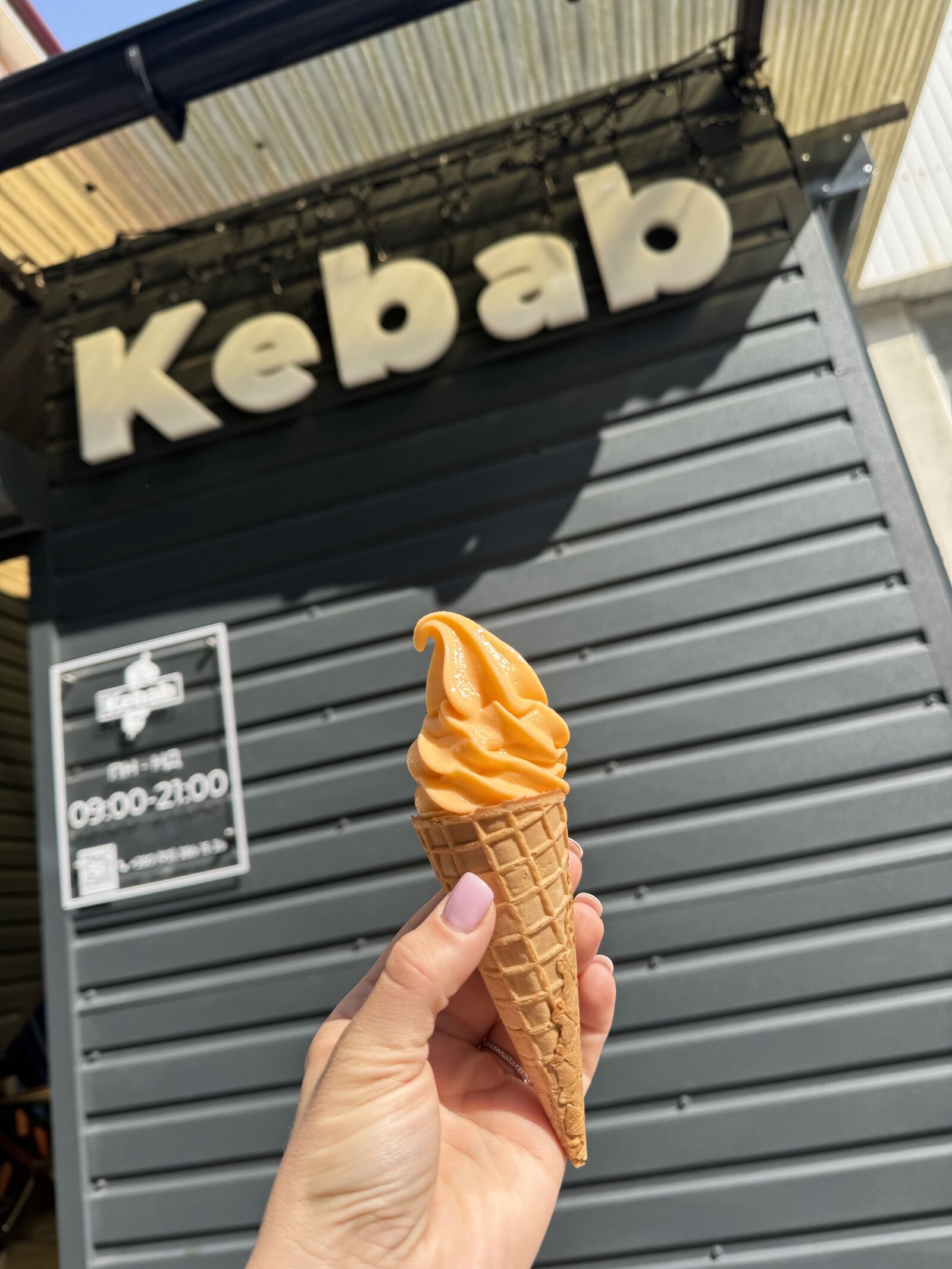 Kebab image 9