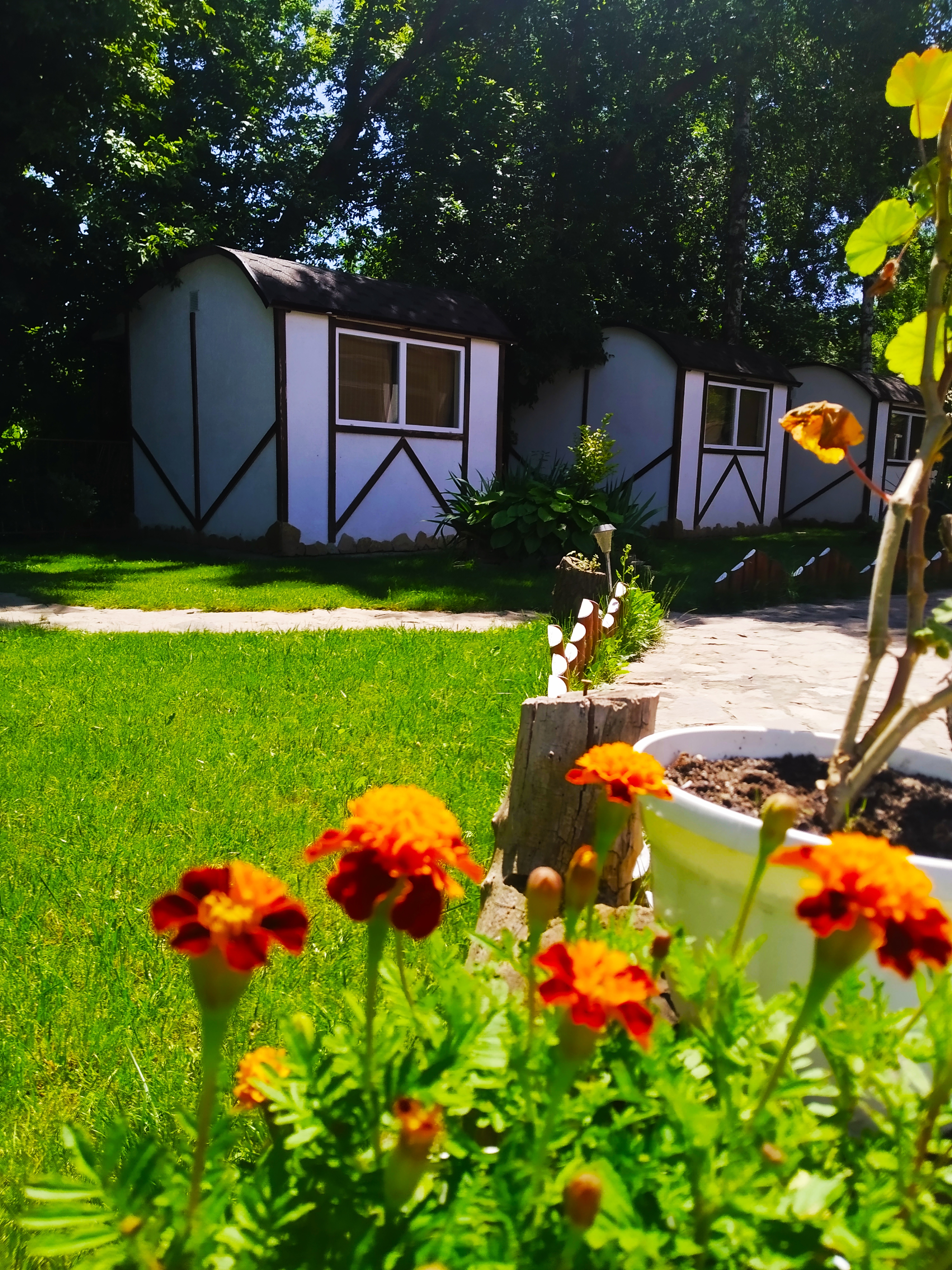 Shashlychnyy Dvir image 4