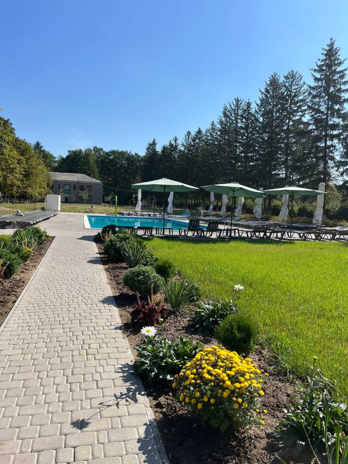 Park-Sadyba Kurkuli image 4