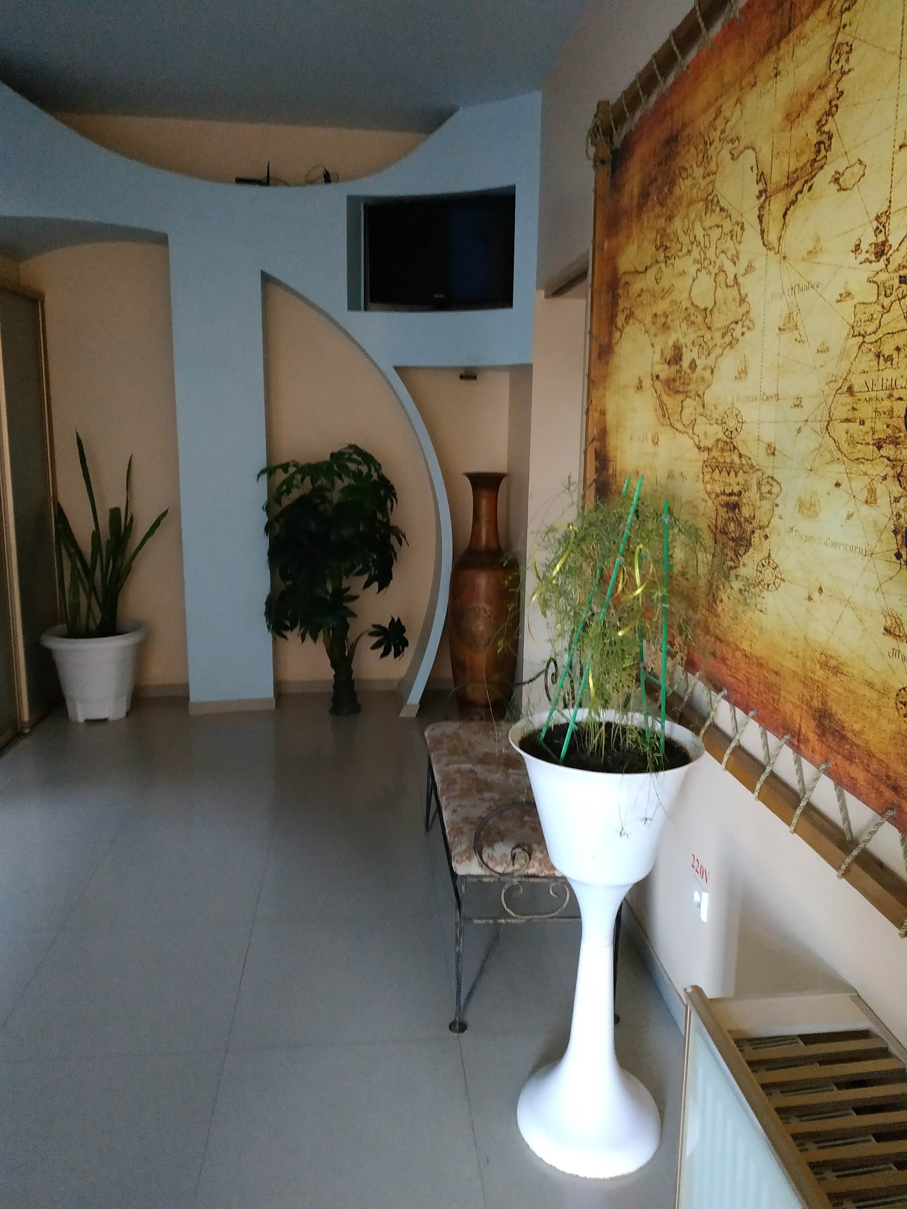 Бермуда image 7