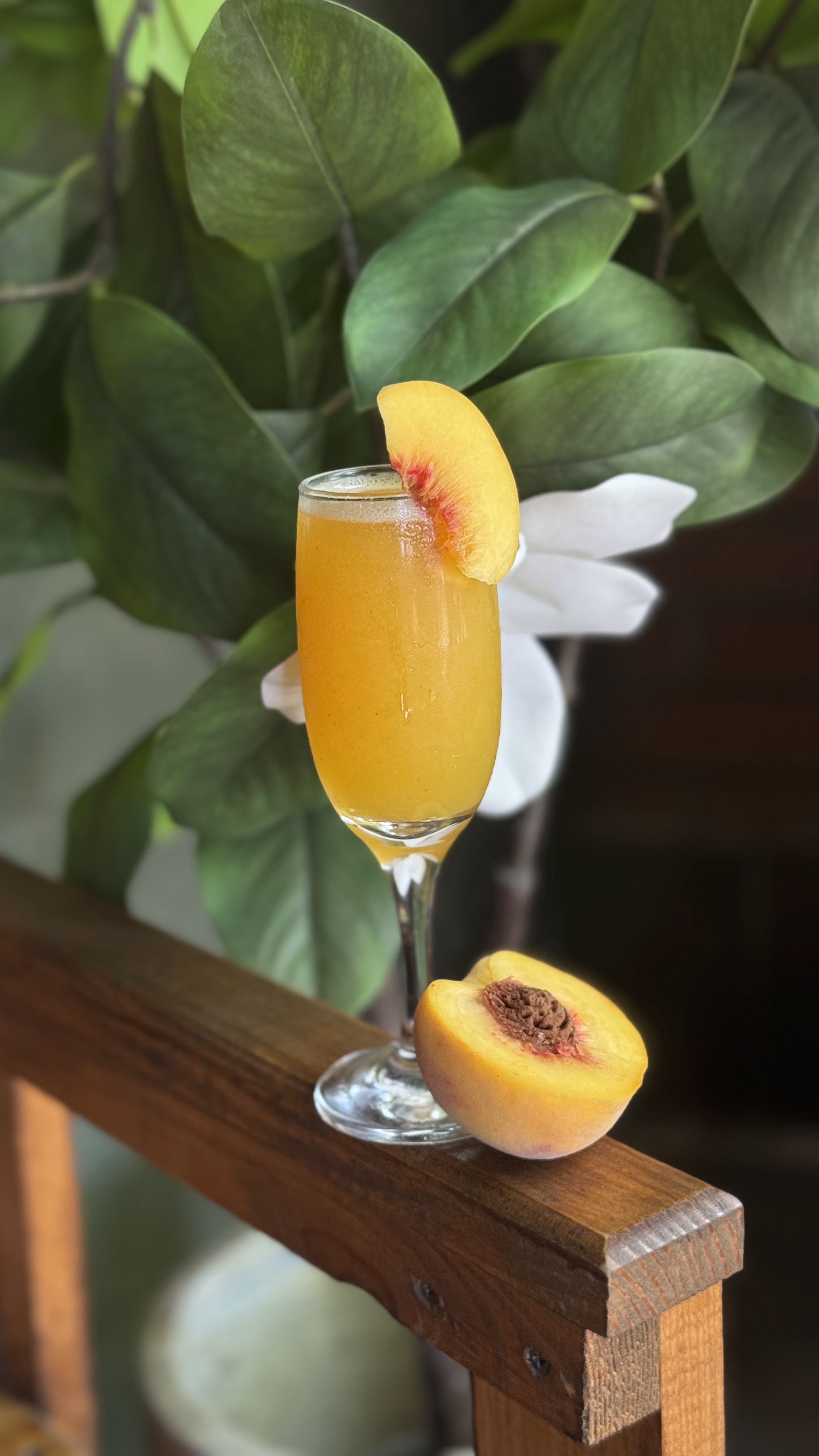 Cafe Central image 5