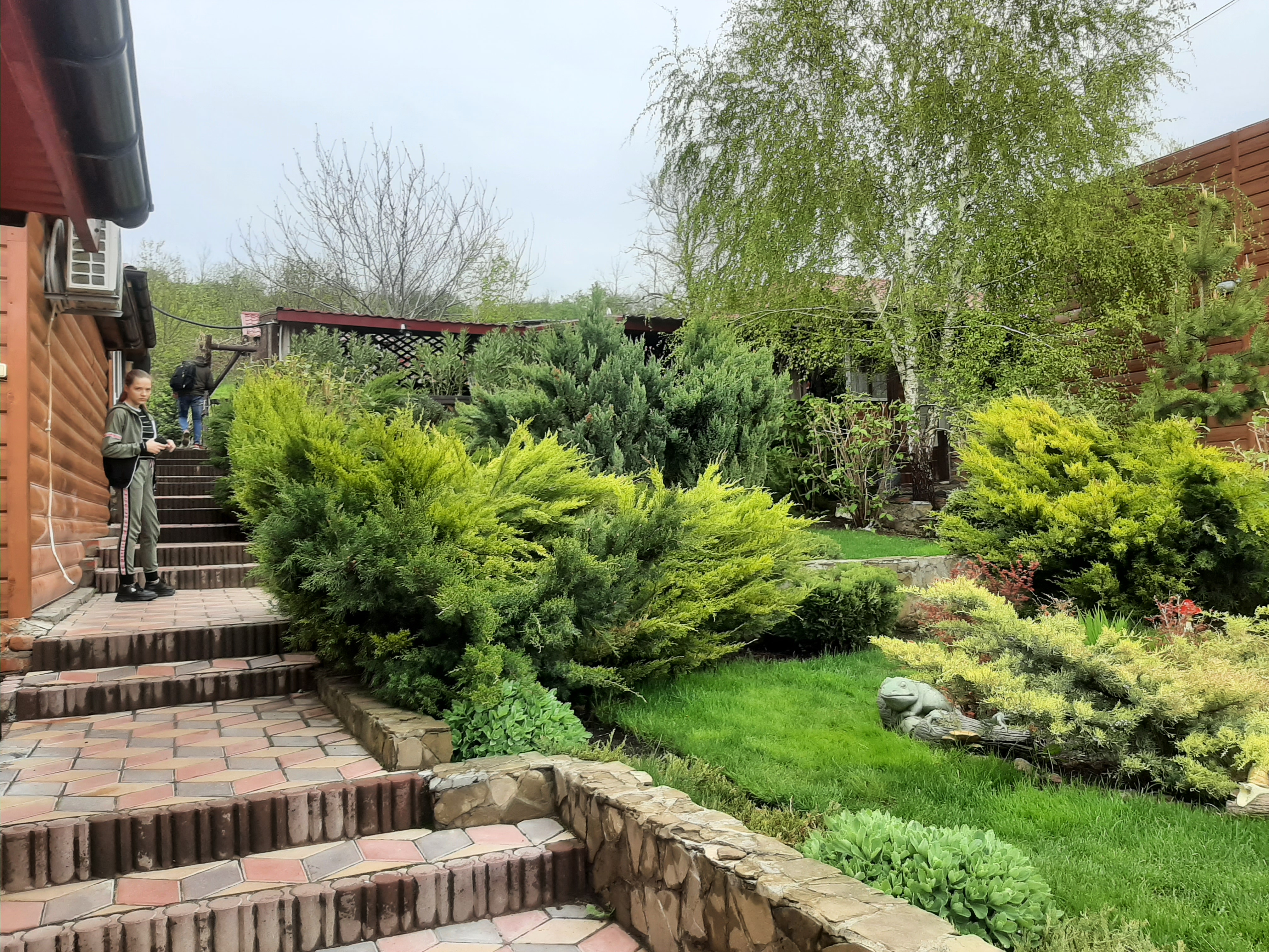 Try Bazhannya image 6