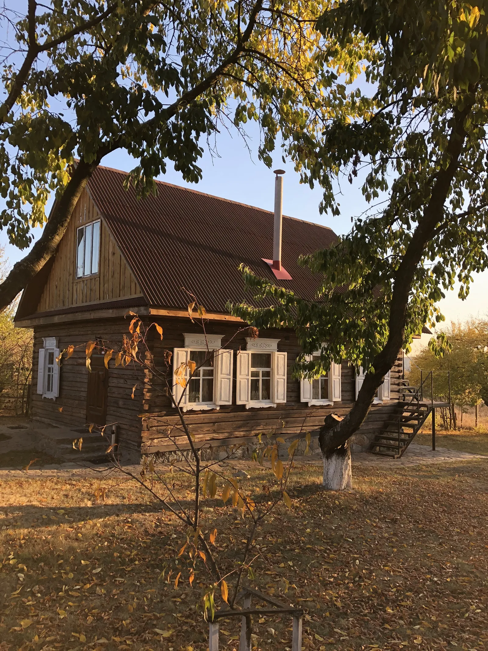 Садочок VIP image 8