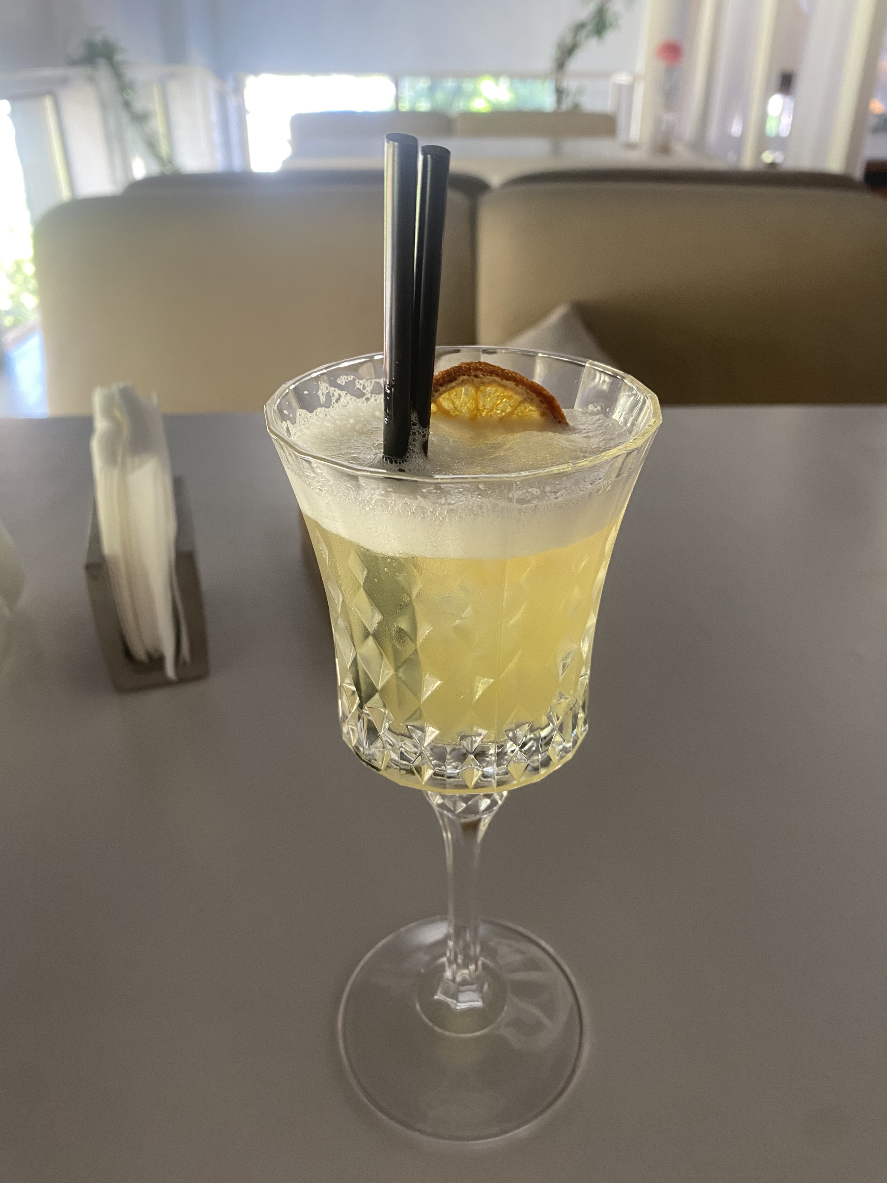 Sky Fly Rest image 3