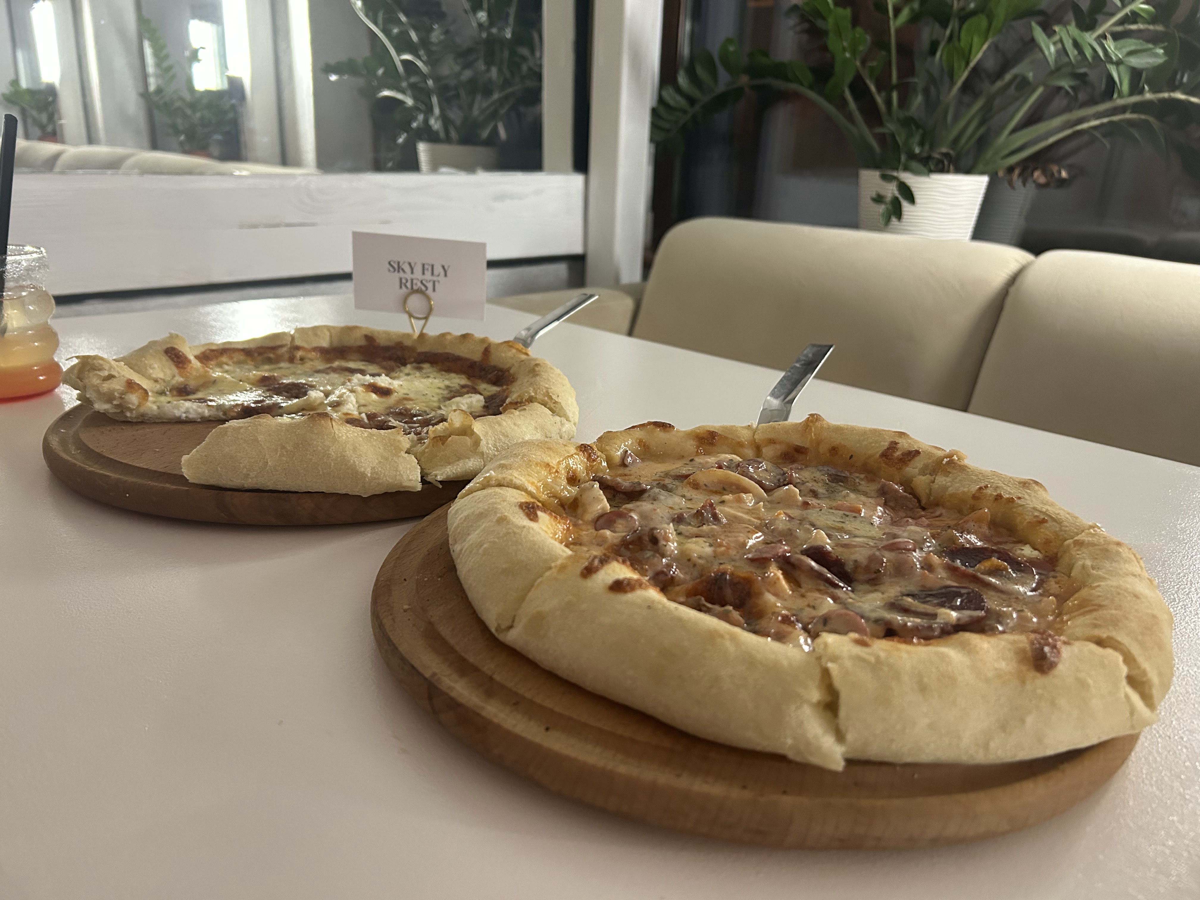 Sky Fly Rest image 6