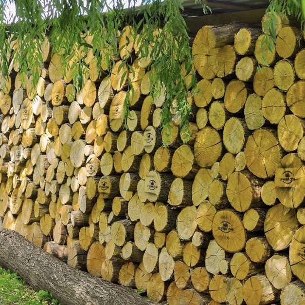 Красний Став image 2