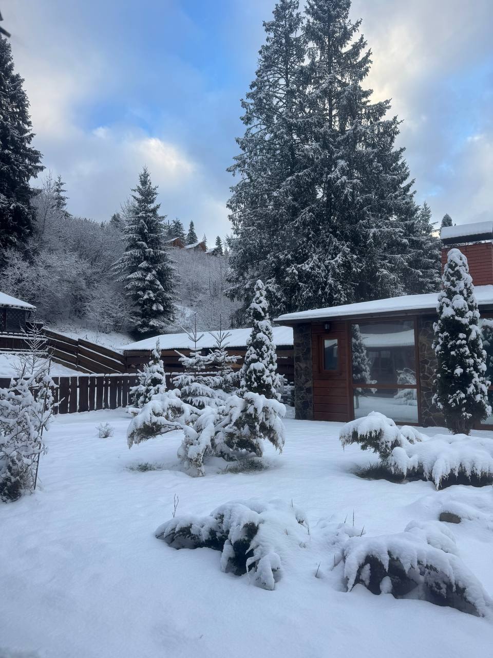 Shale Filʹvarok image 16