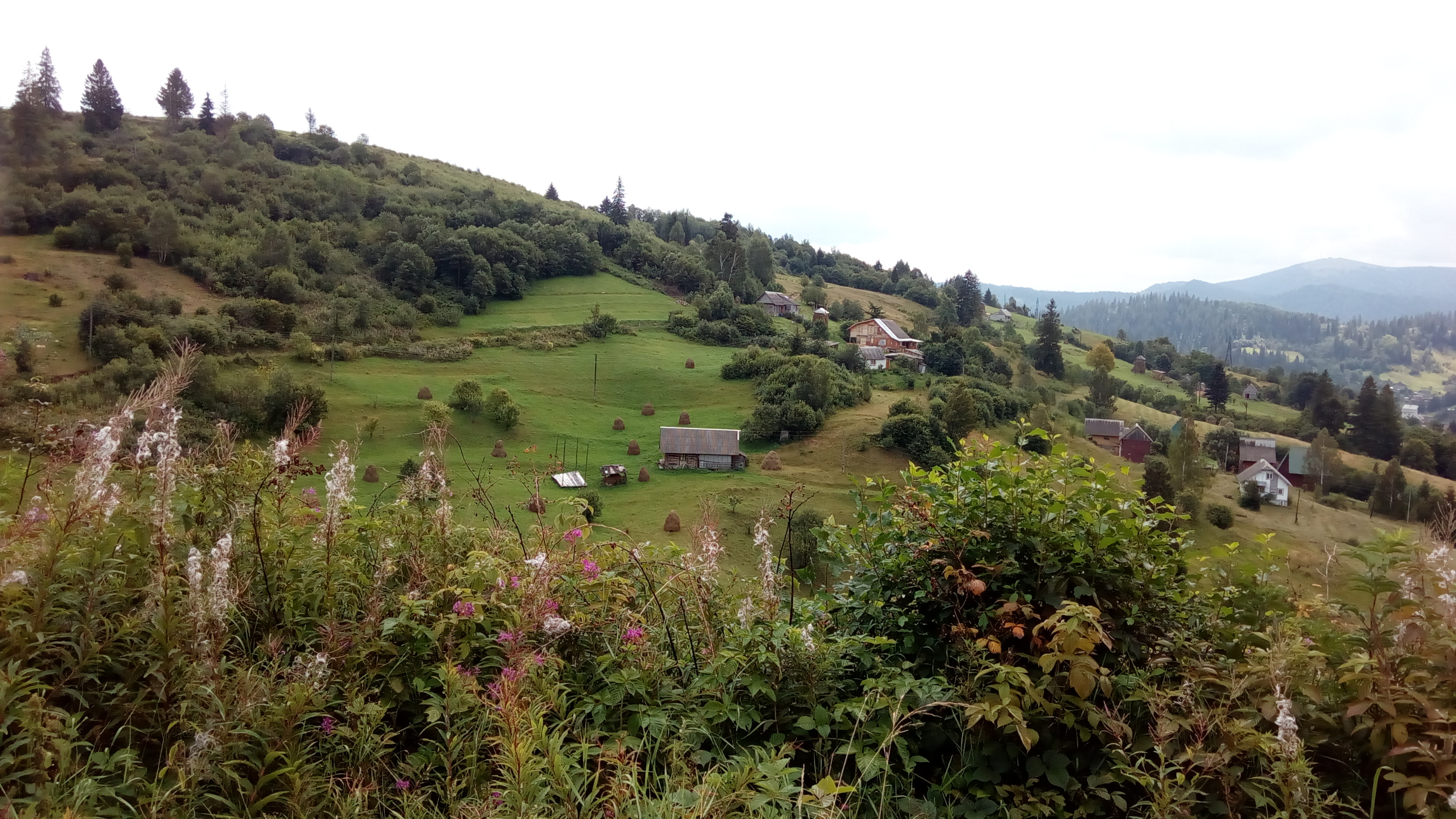 Sakuraya Hotel / Сакурая готель image 15