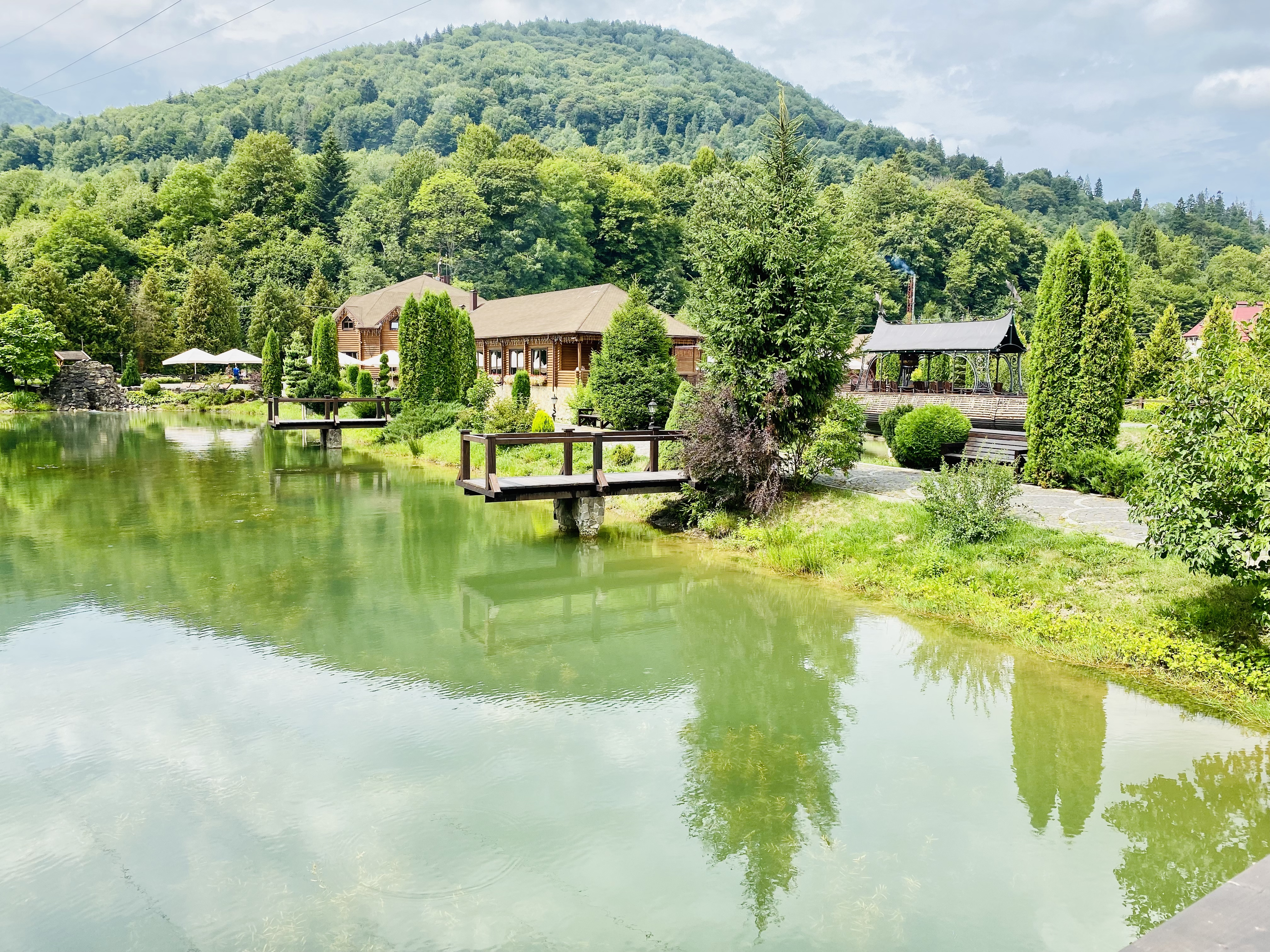 Golden Trout image 15