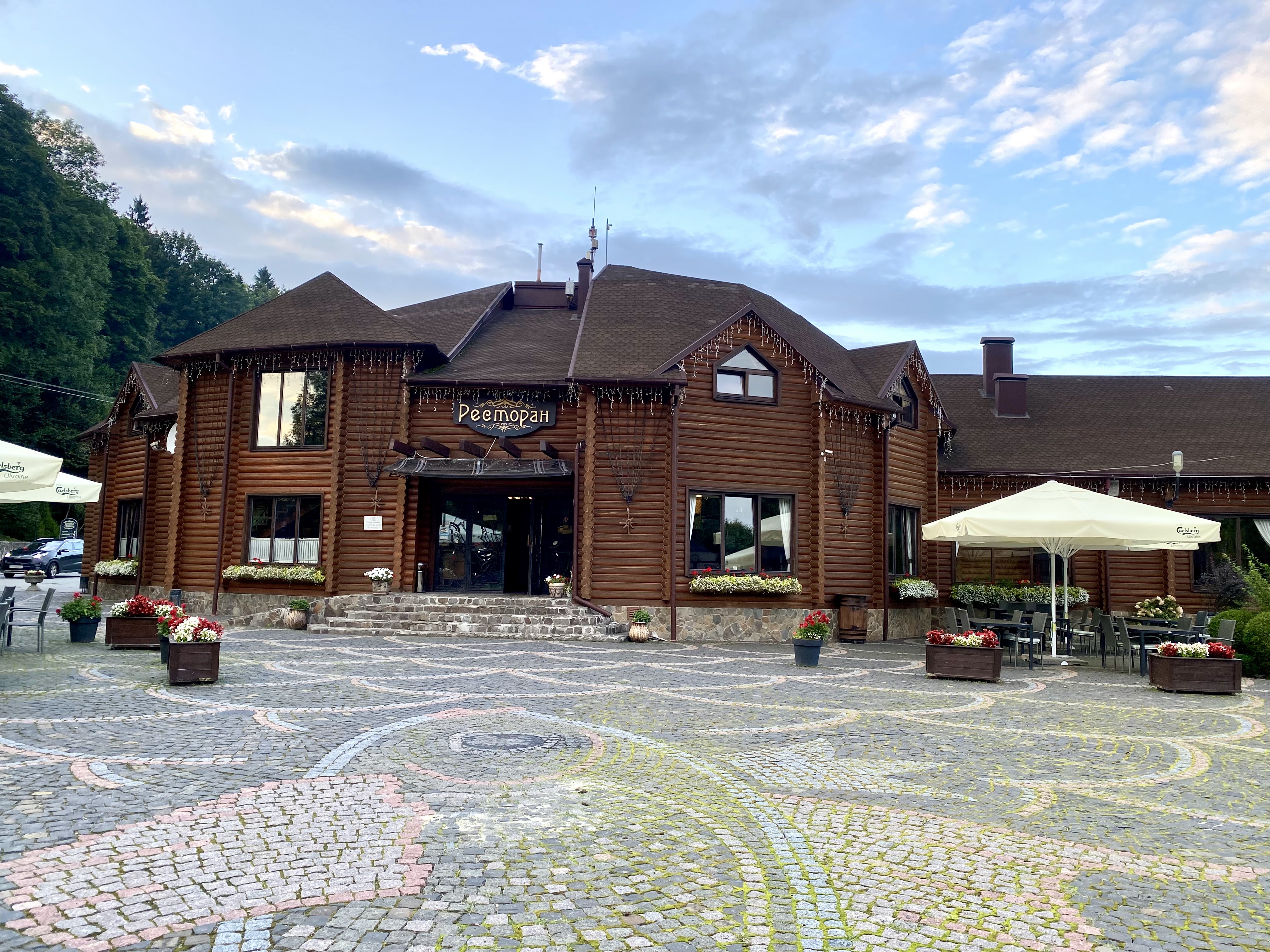 Golden Trout image 17