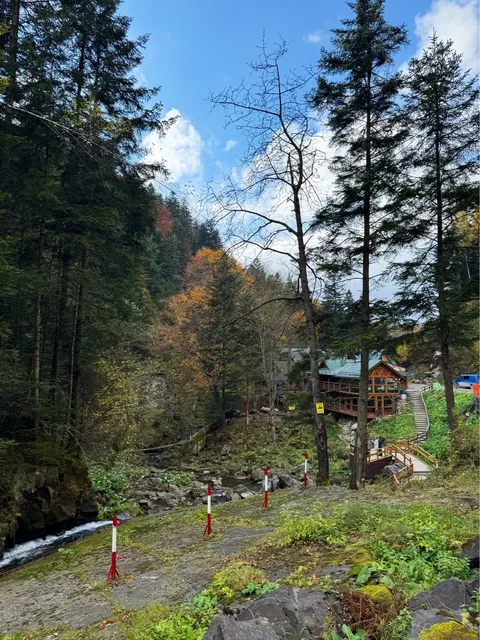 У Наді над водоспадом image 4