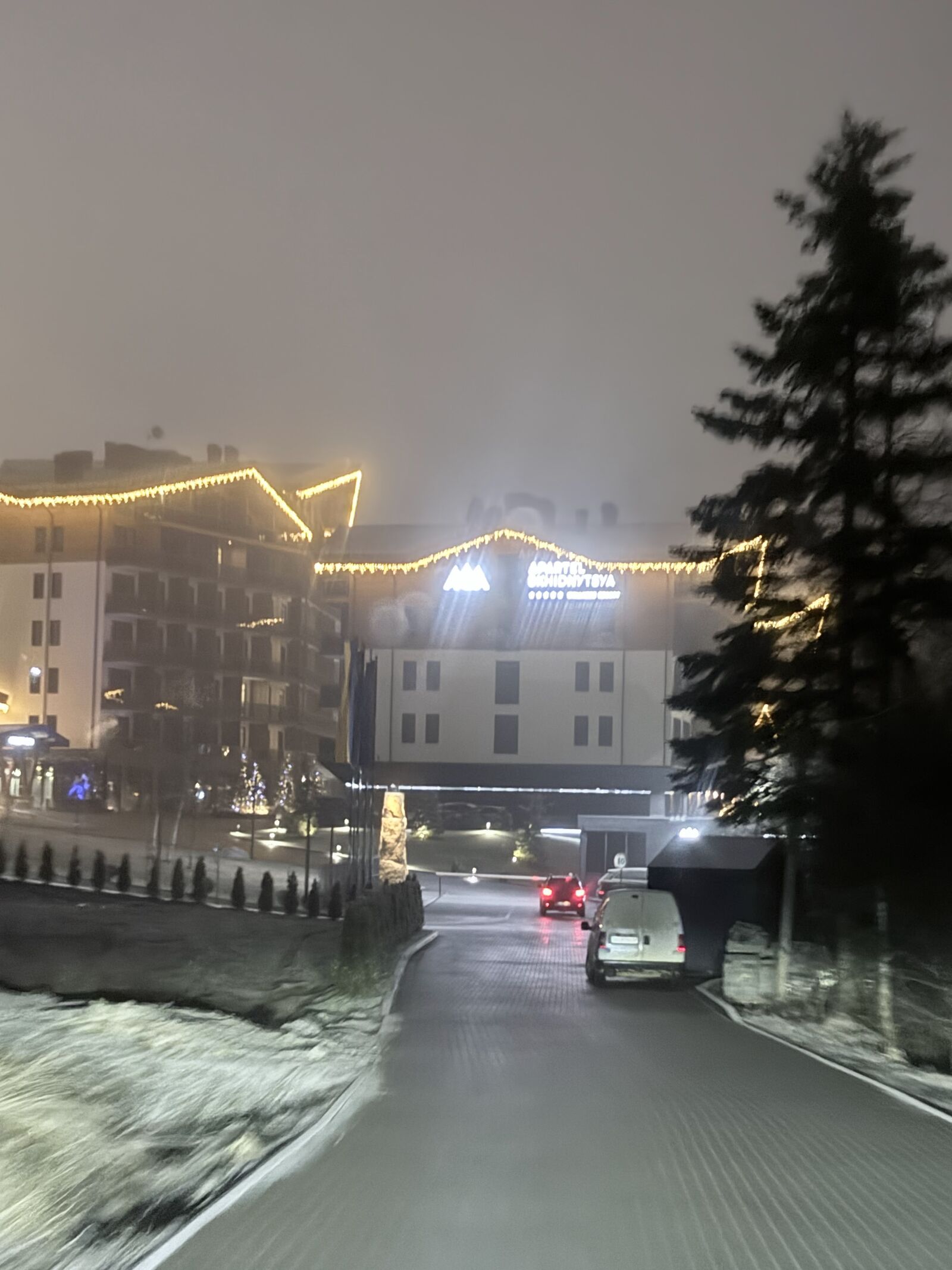 Bosco image 6