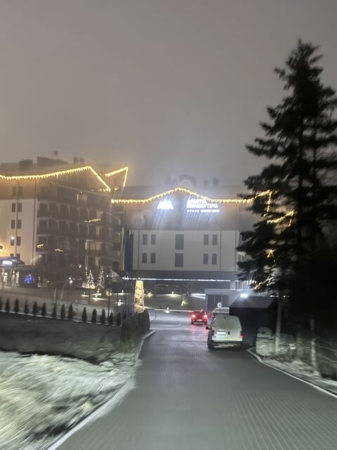 Bosco image 6