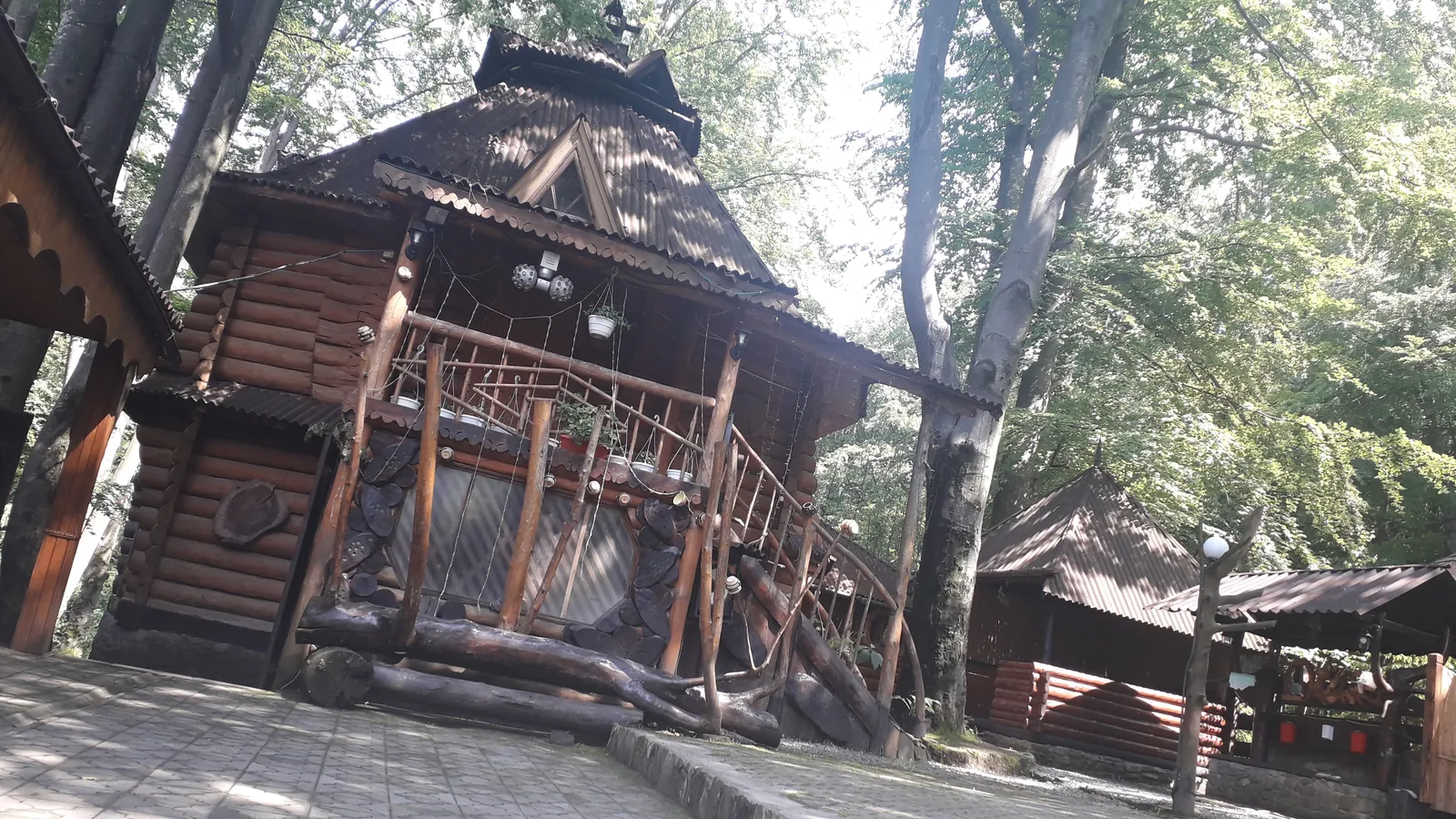 Tvk"Vatra" image 3