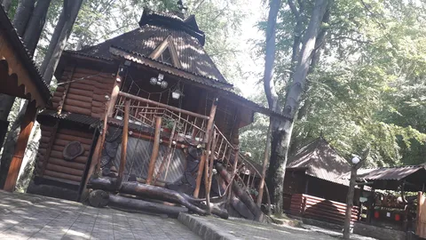 Tvk"Vatra" image 3