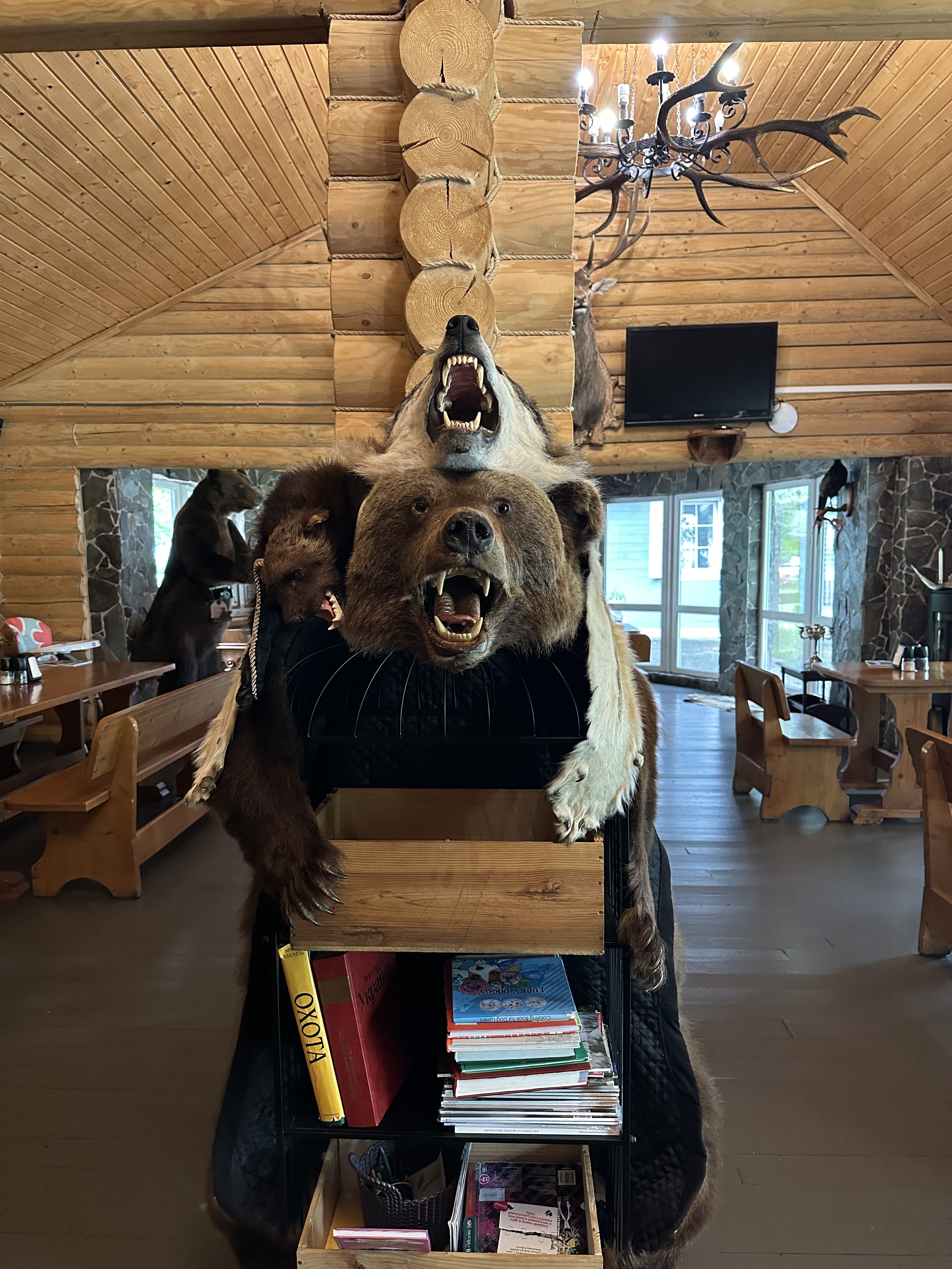 Myslyvsʹkyy image 13