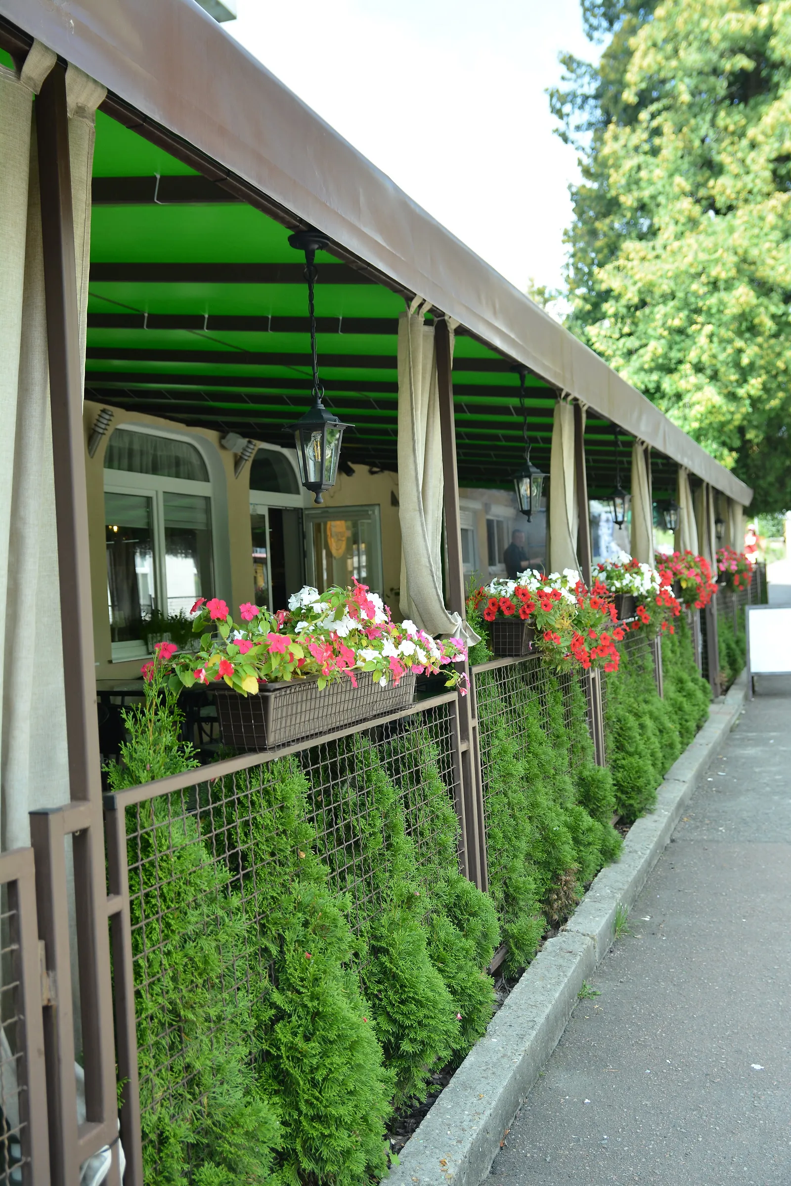 Taverna image 16