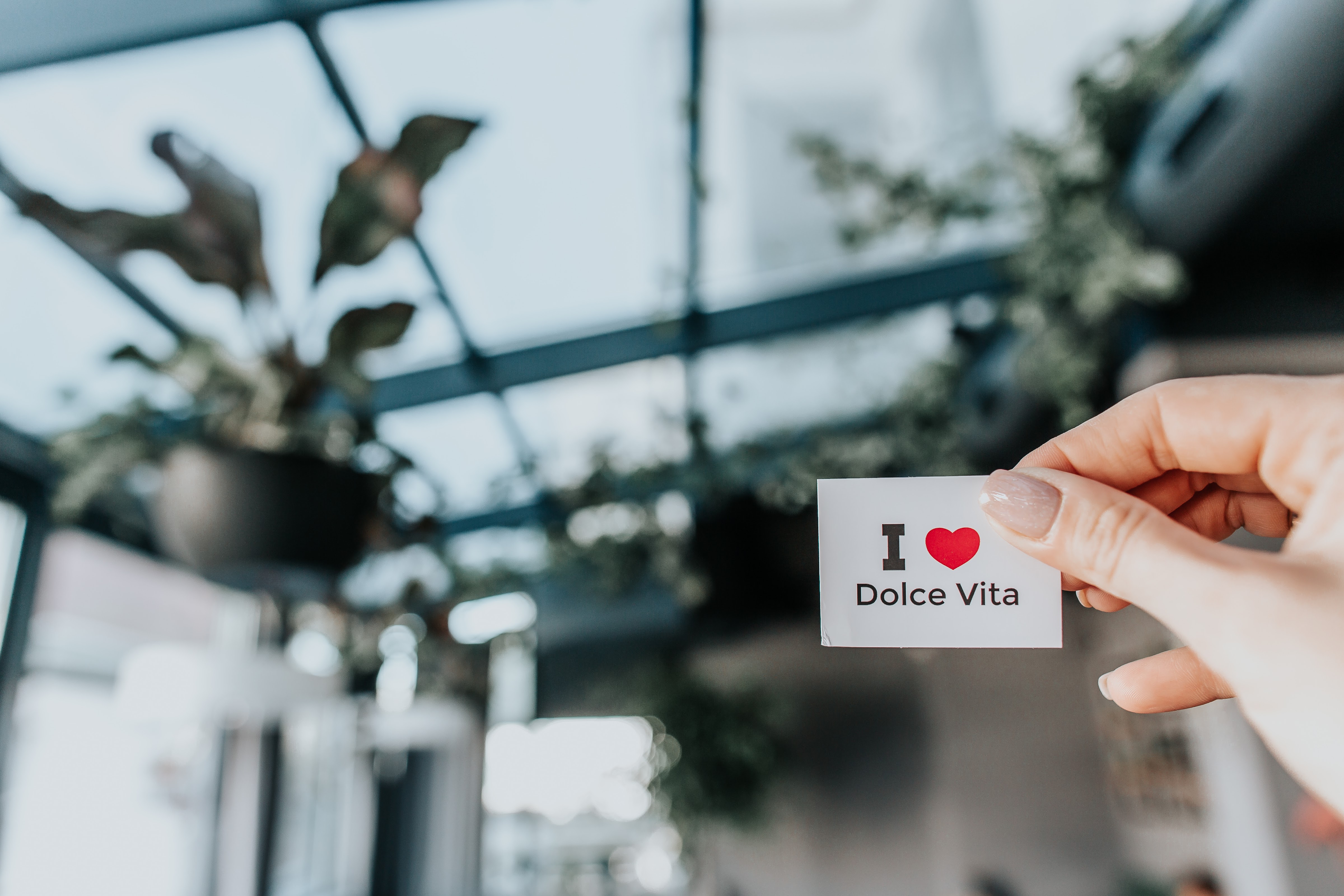 Dolʹche Vita image 13