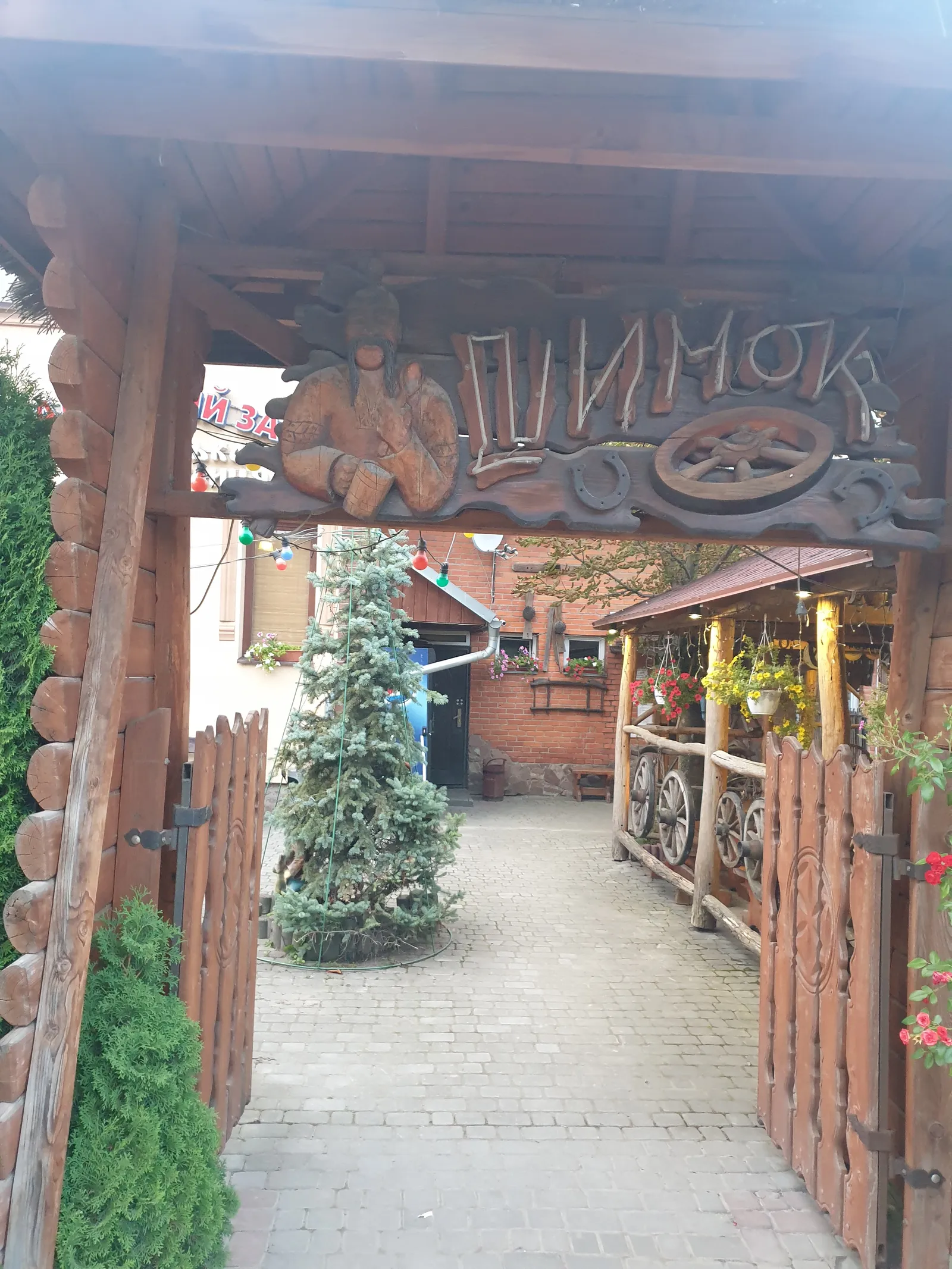 Shynok image 19