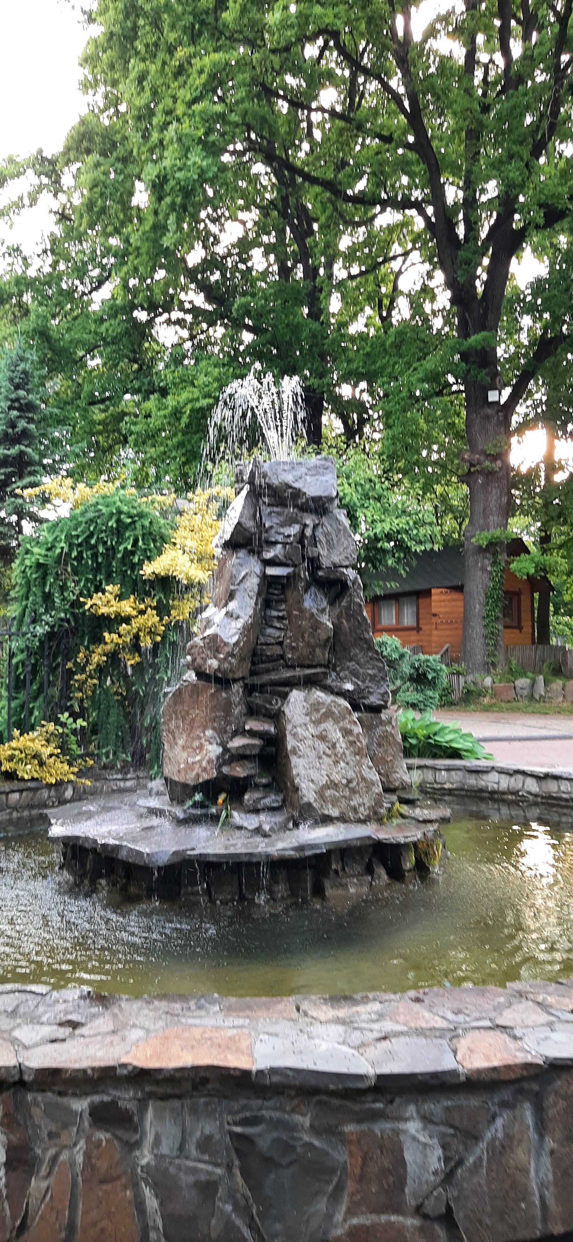 Tov Restoran Cheremshyna image 18