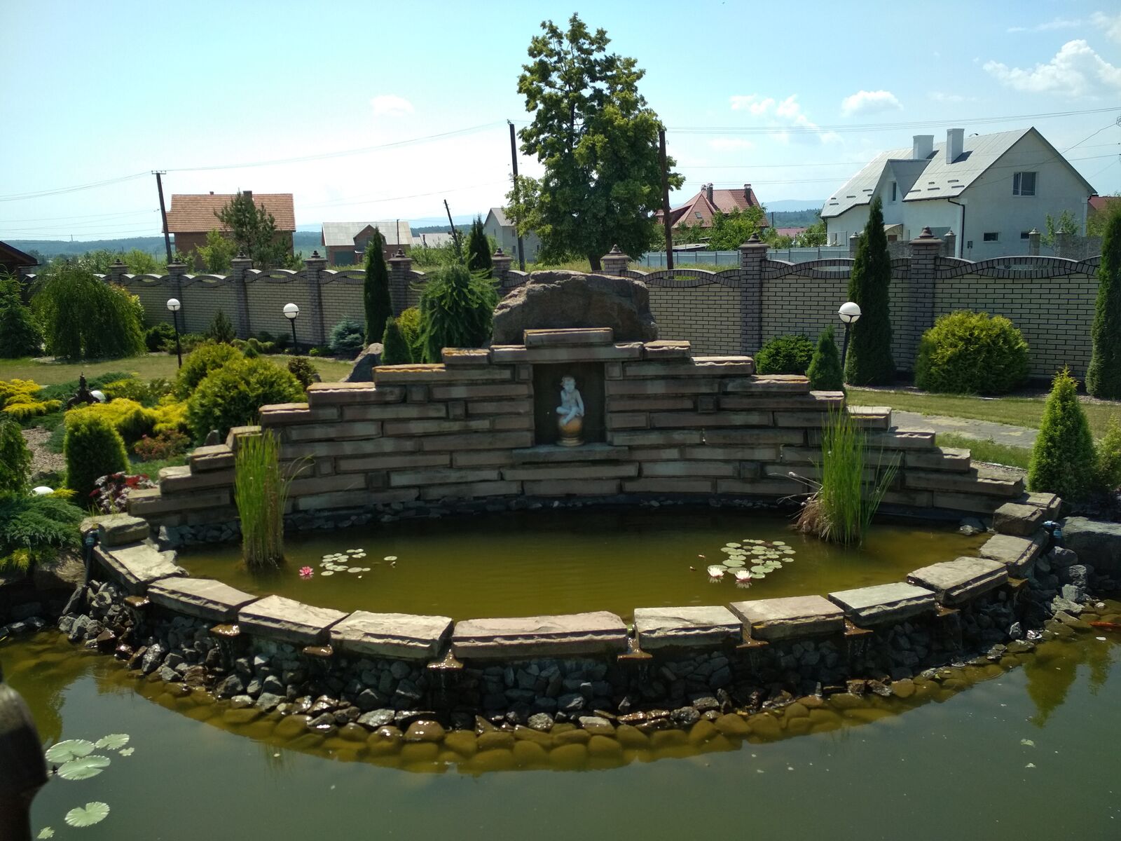 Amur image 15