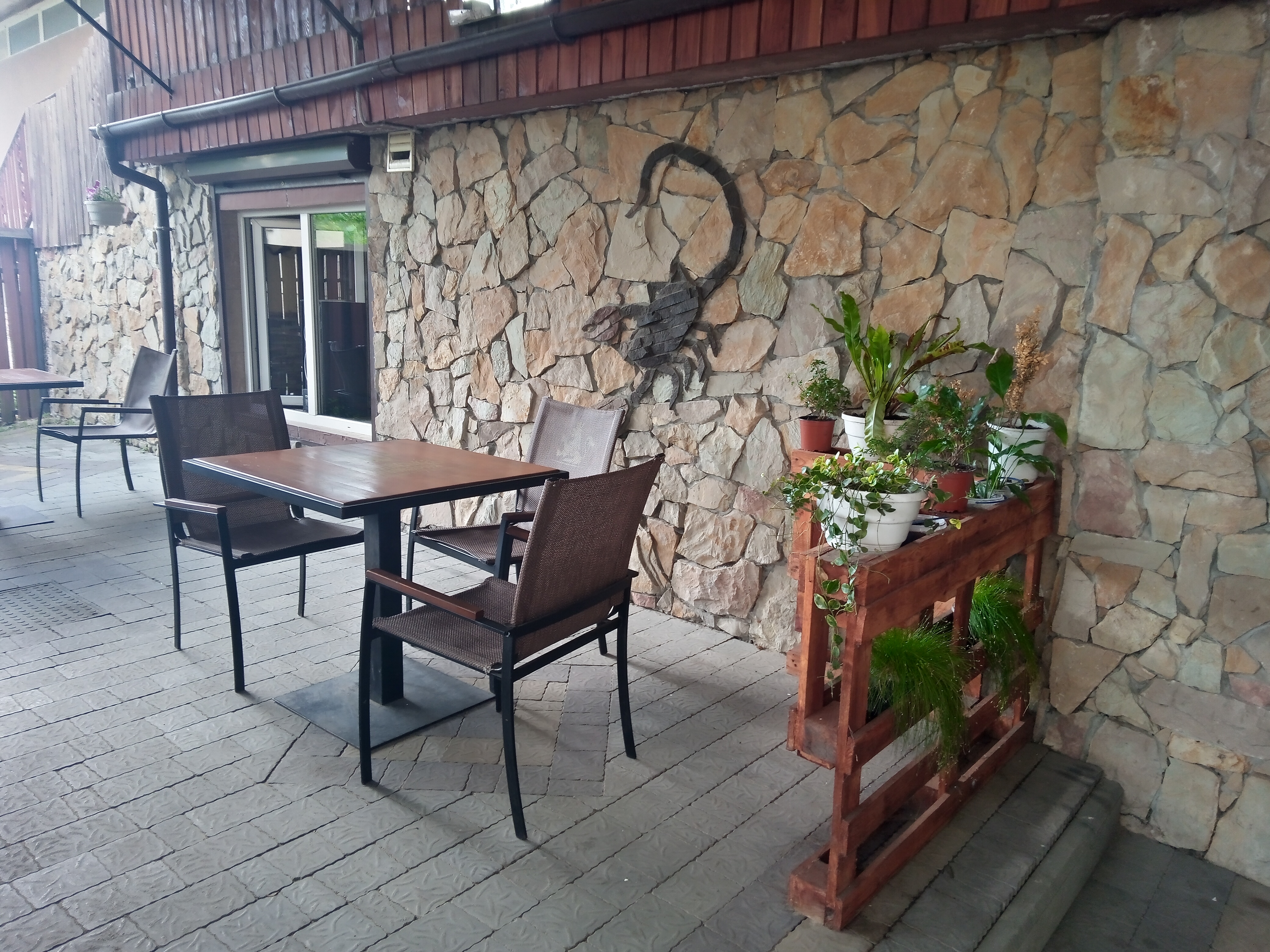 Kafe-Bar Skorpion image 15