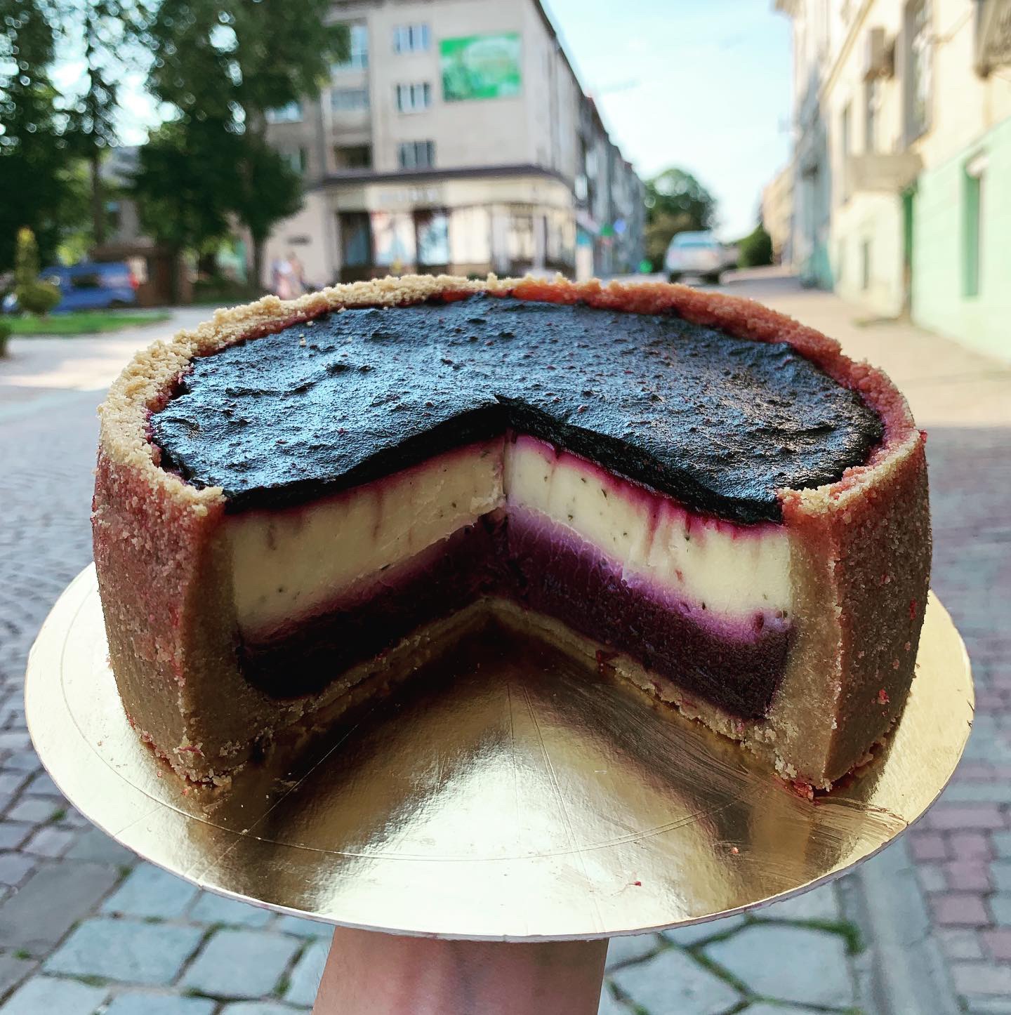 JARDIN Espanol image 22