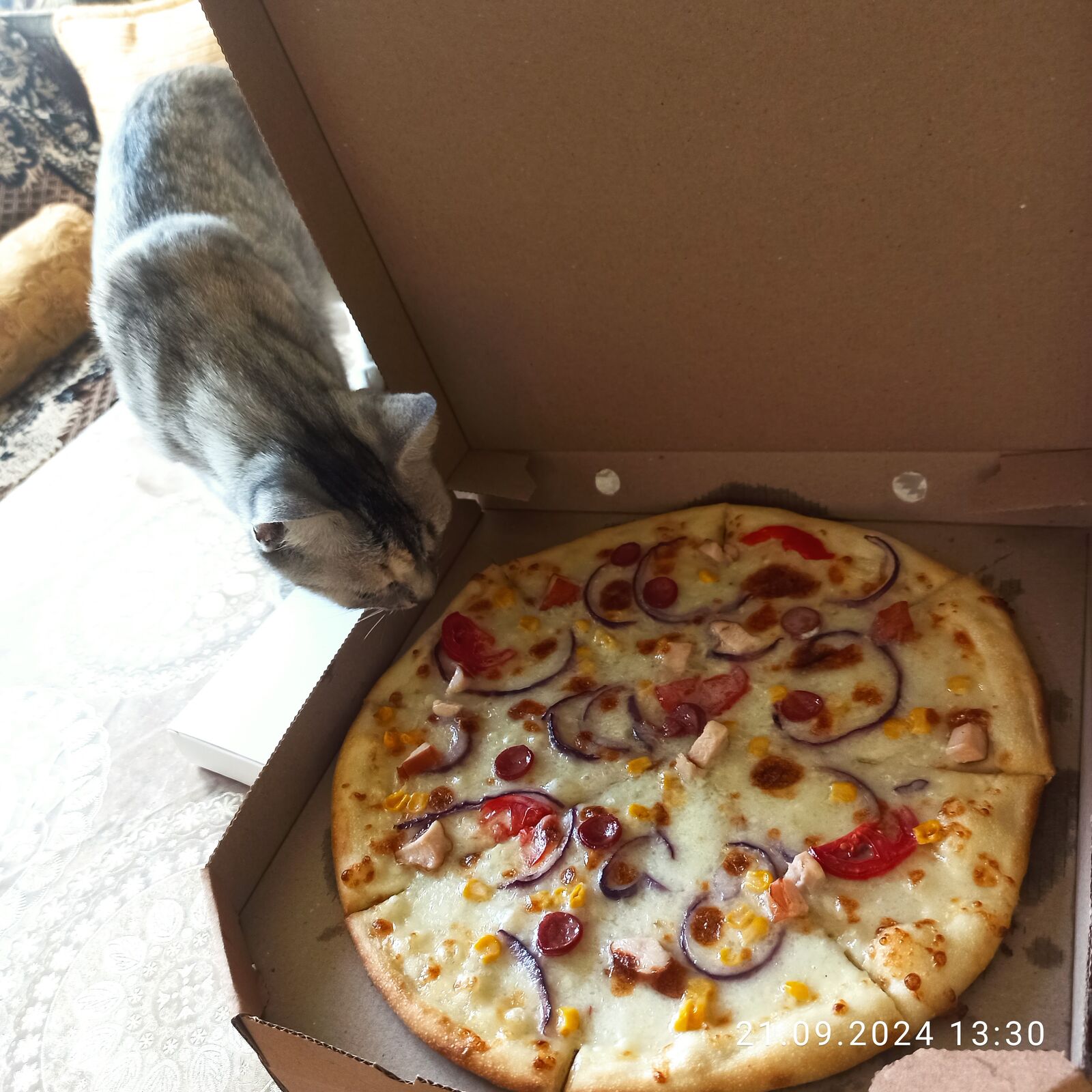 Domino Pizza & Burger image 13