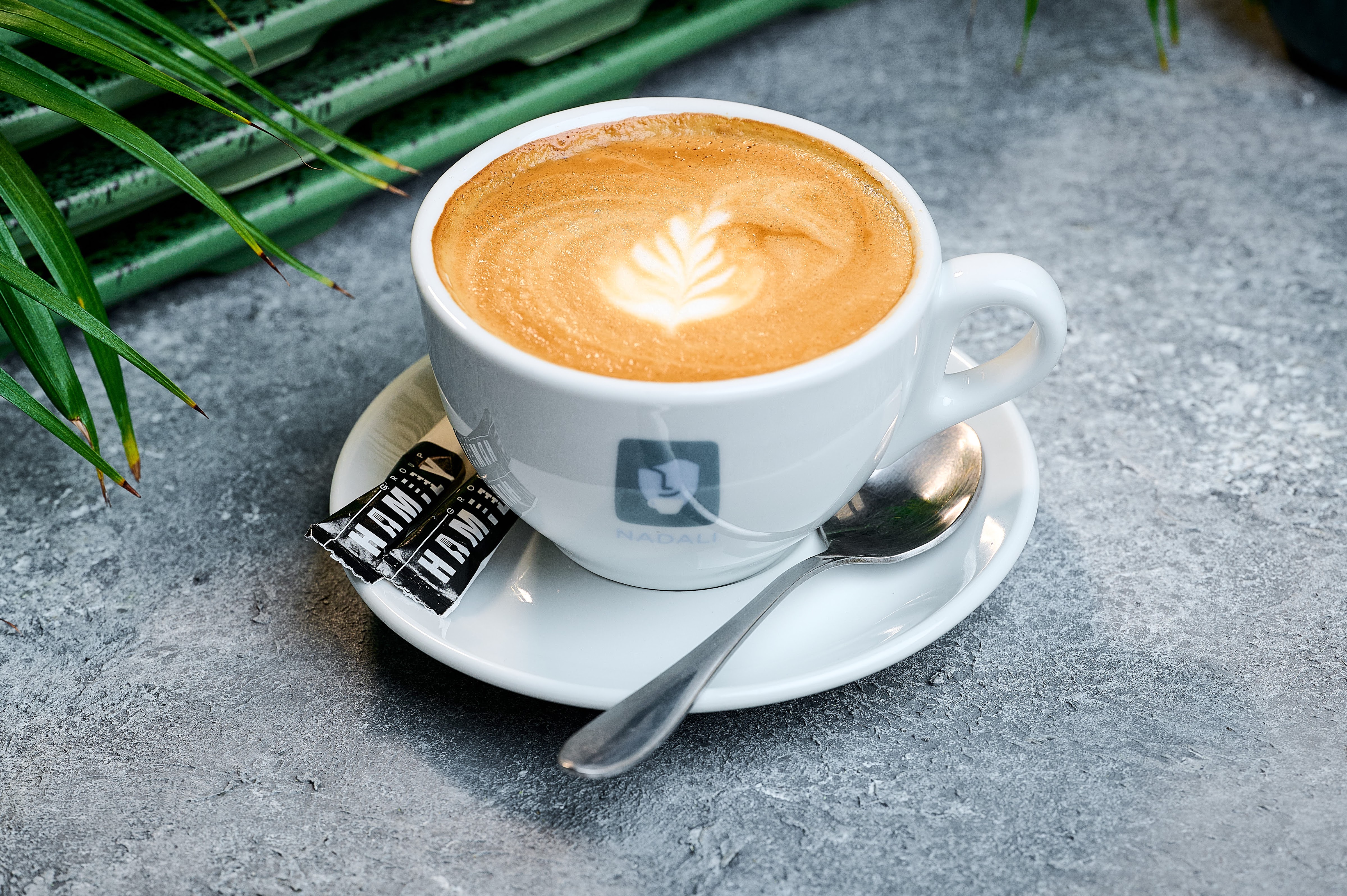 Green Garden image 15