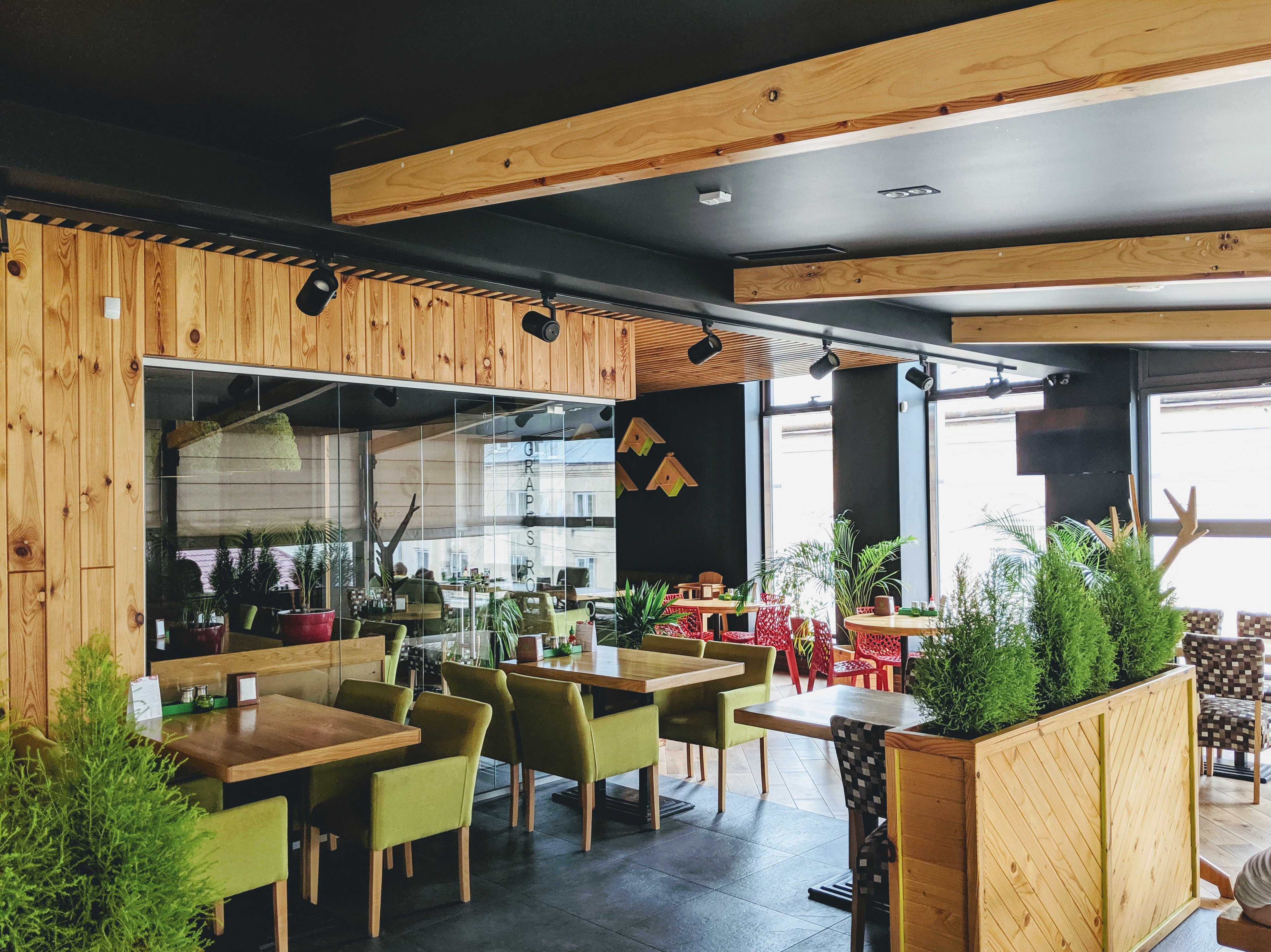 Green Garden image 20