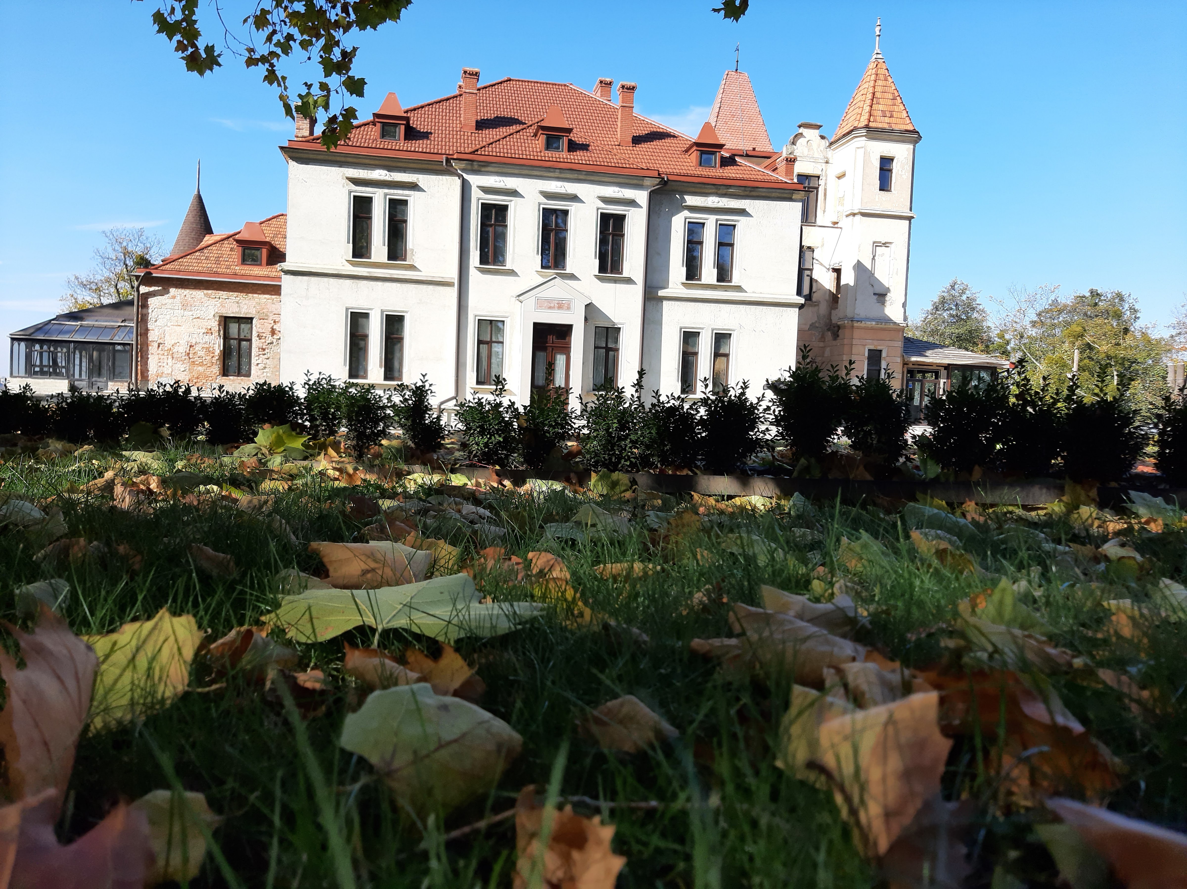 Pidhoretsʹkyy Mayetok image 16