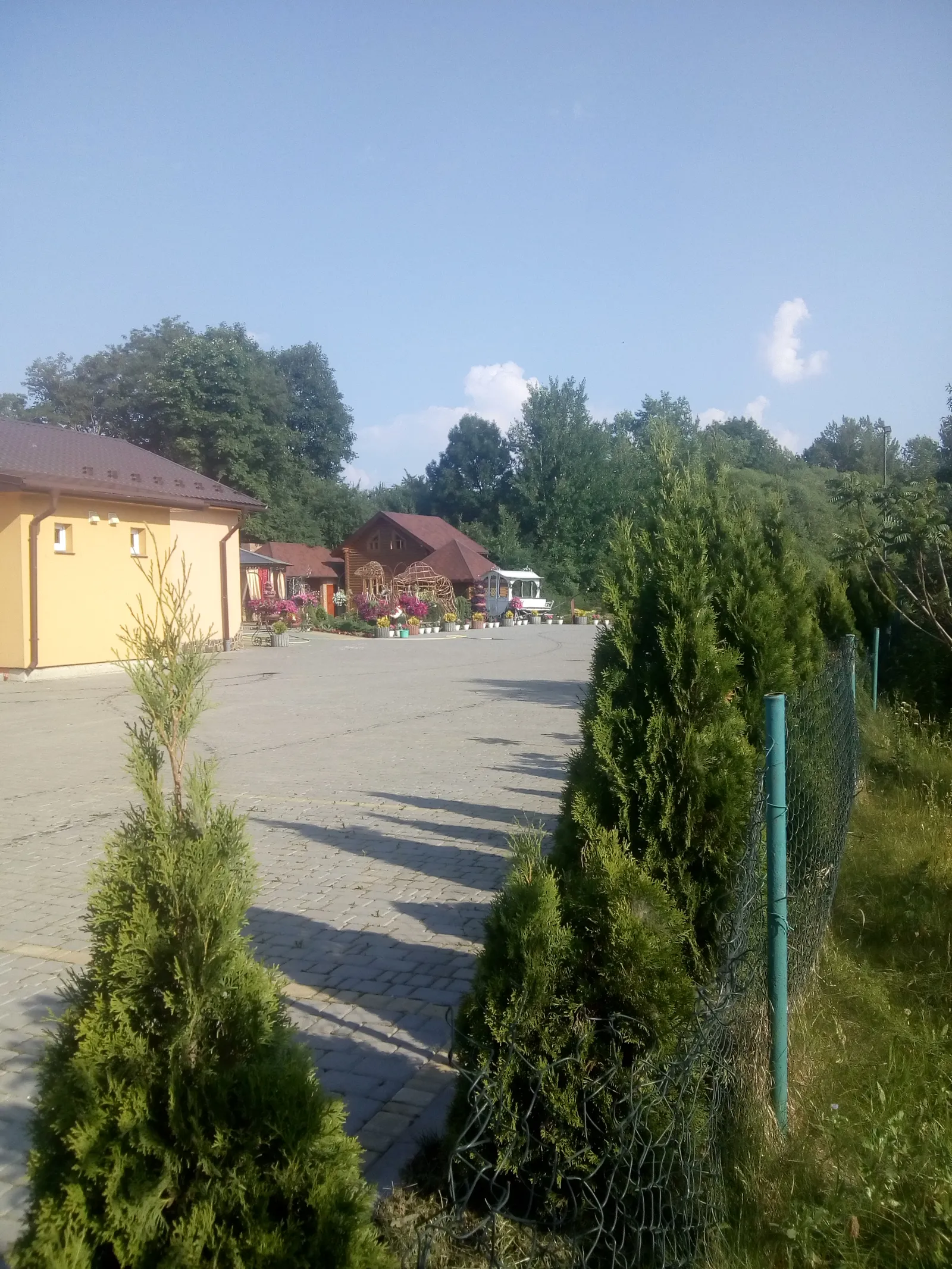 Restoran Viktoriya image 18