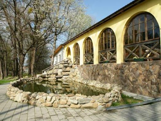 Pestoran "Mlyn" image 13