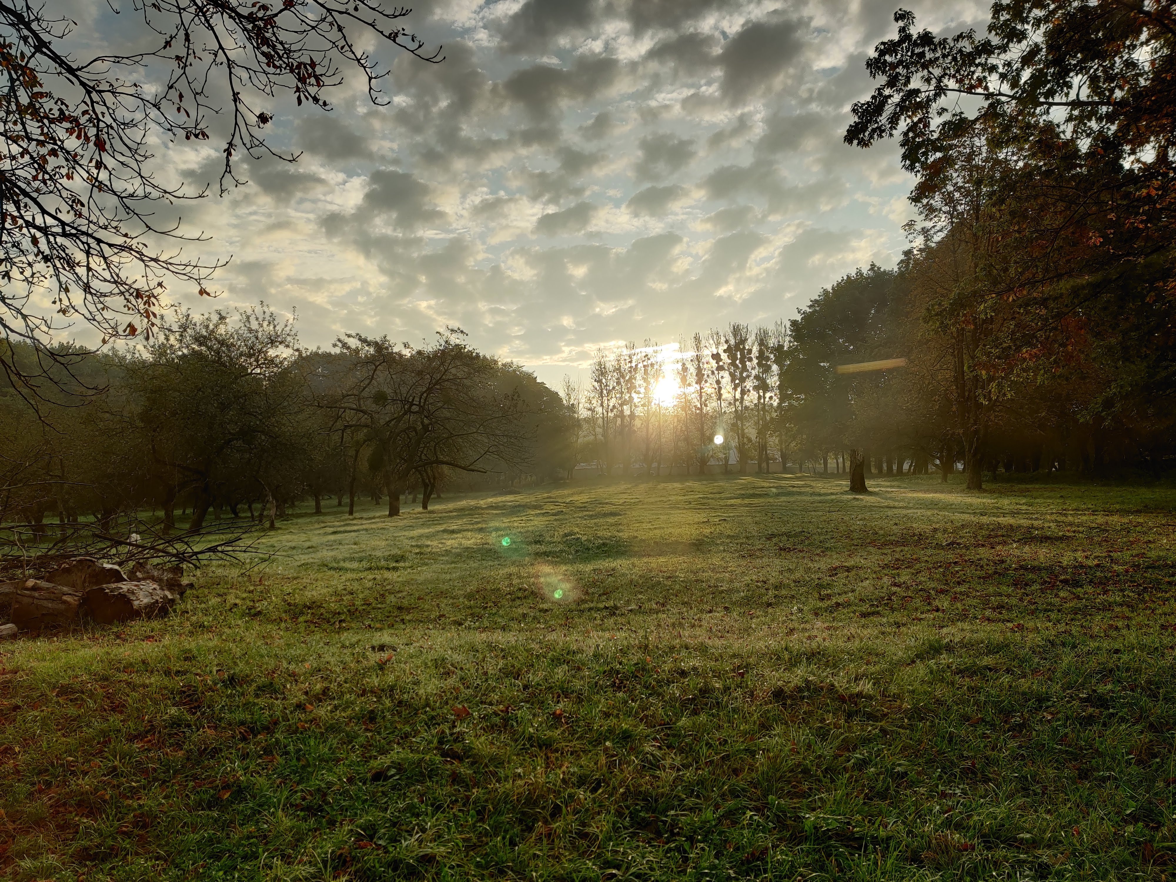 Pestoran "Mlyn" image 17