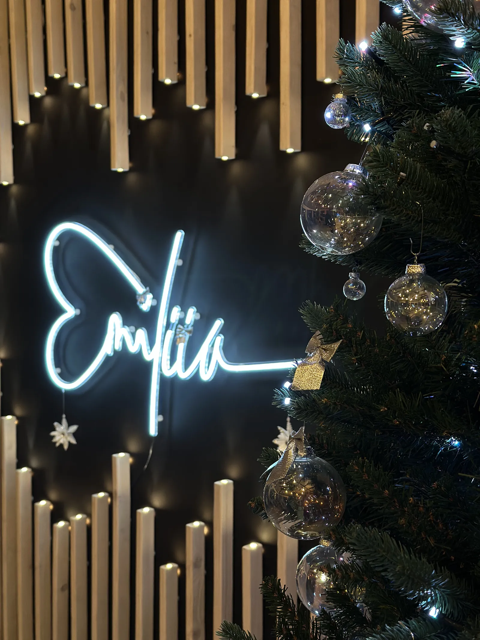 Emiliia image 6