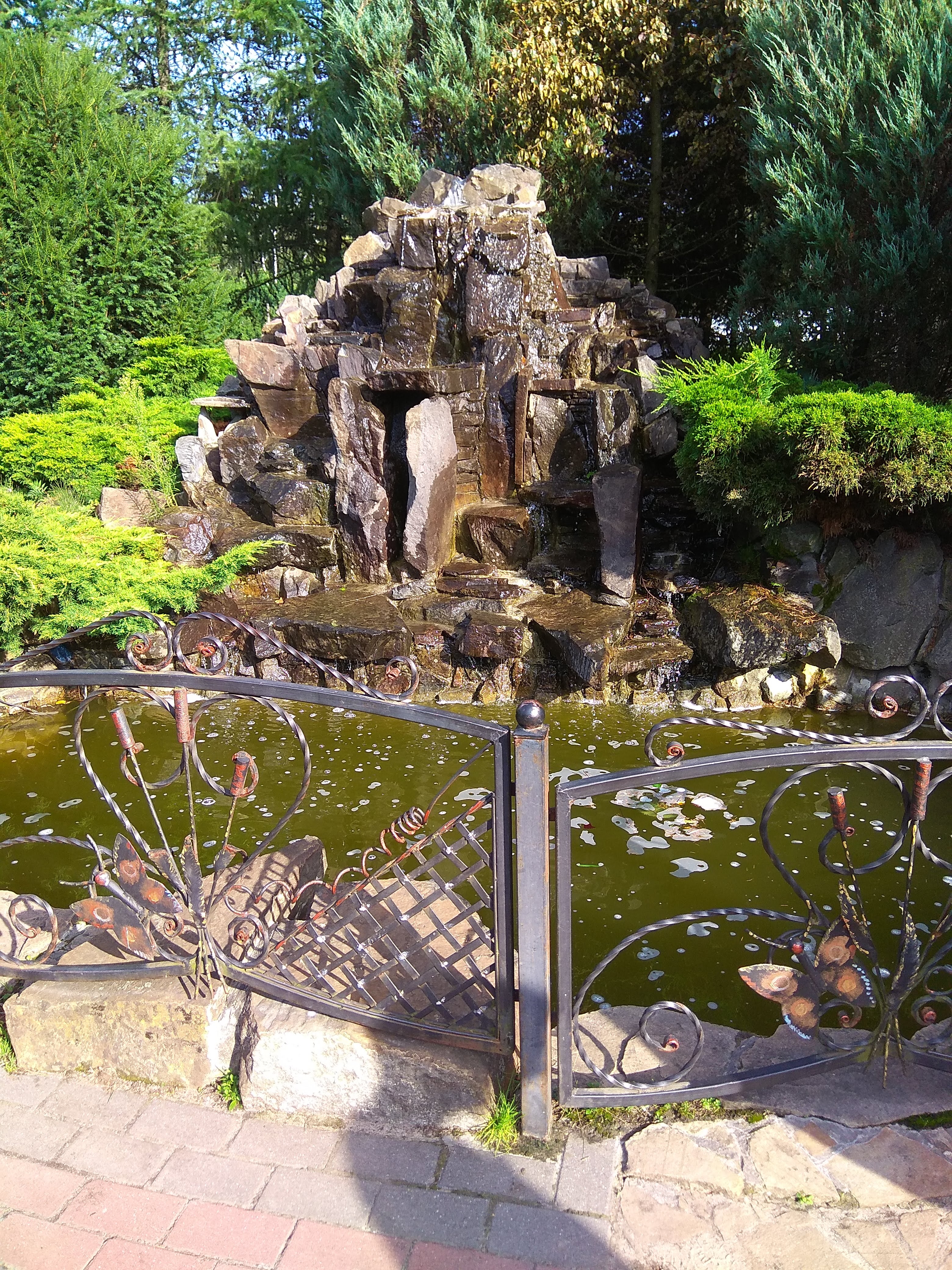 Соната image 18