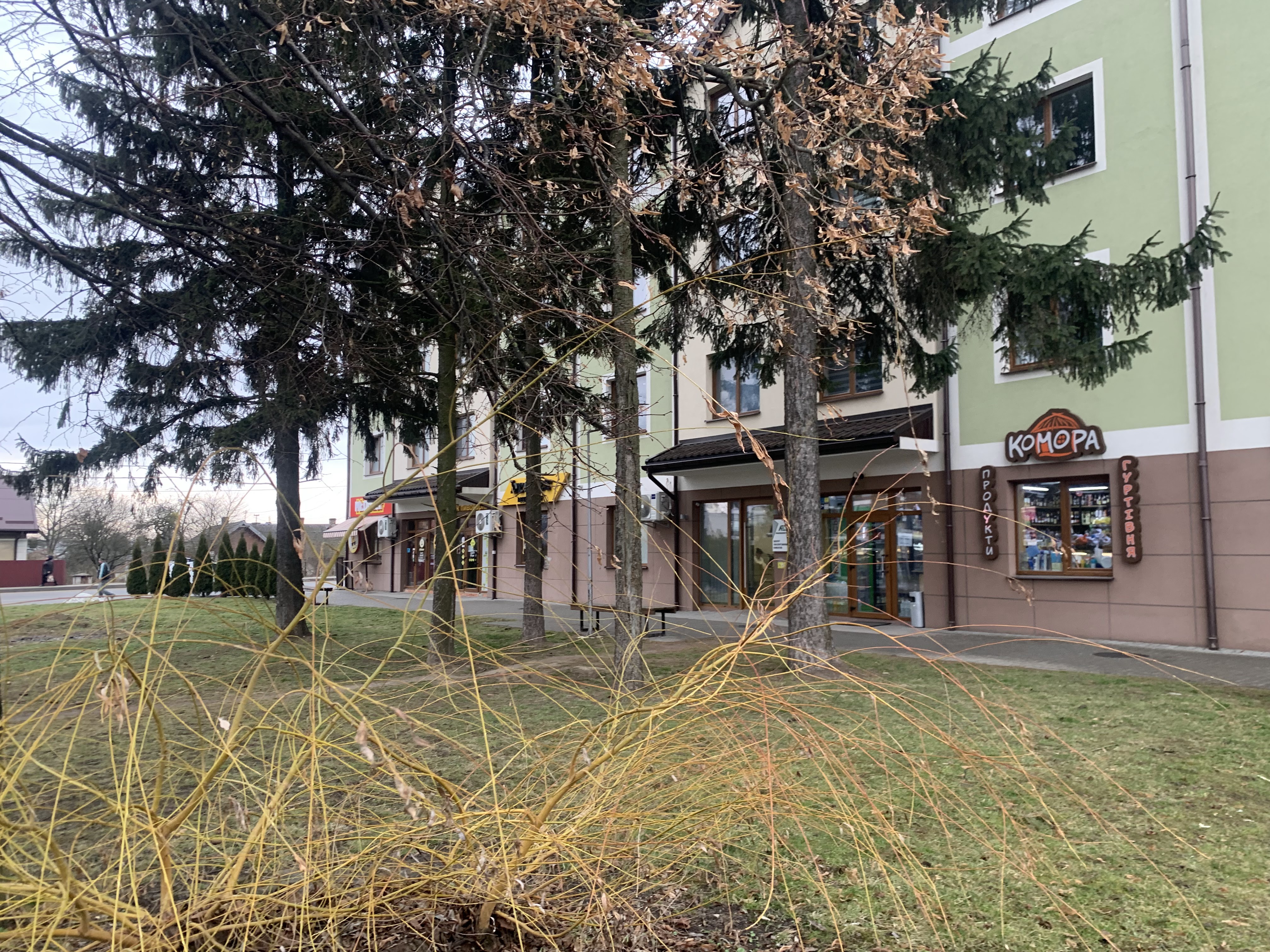 Ya Lyublyu Kebab image 8