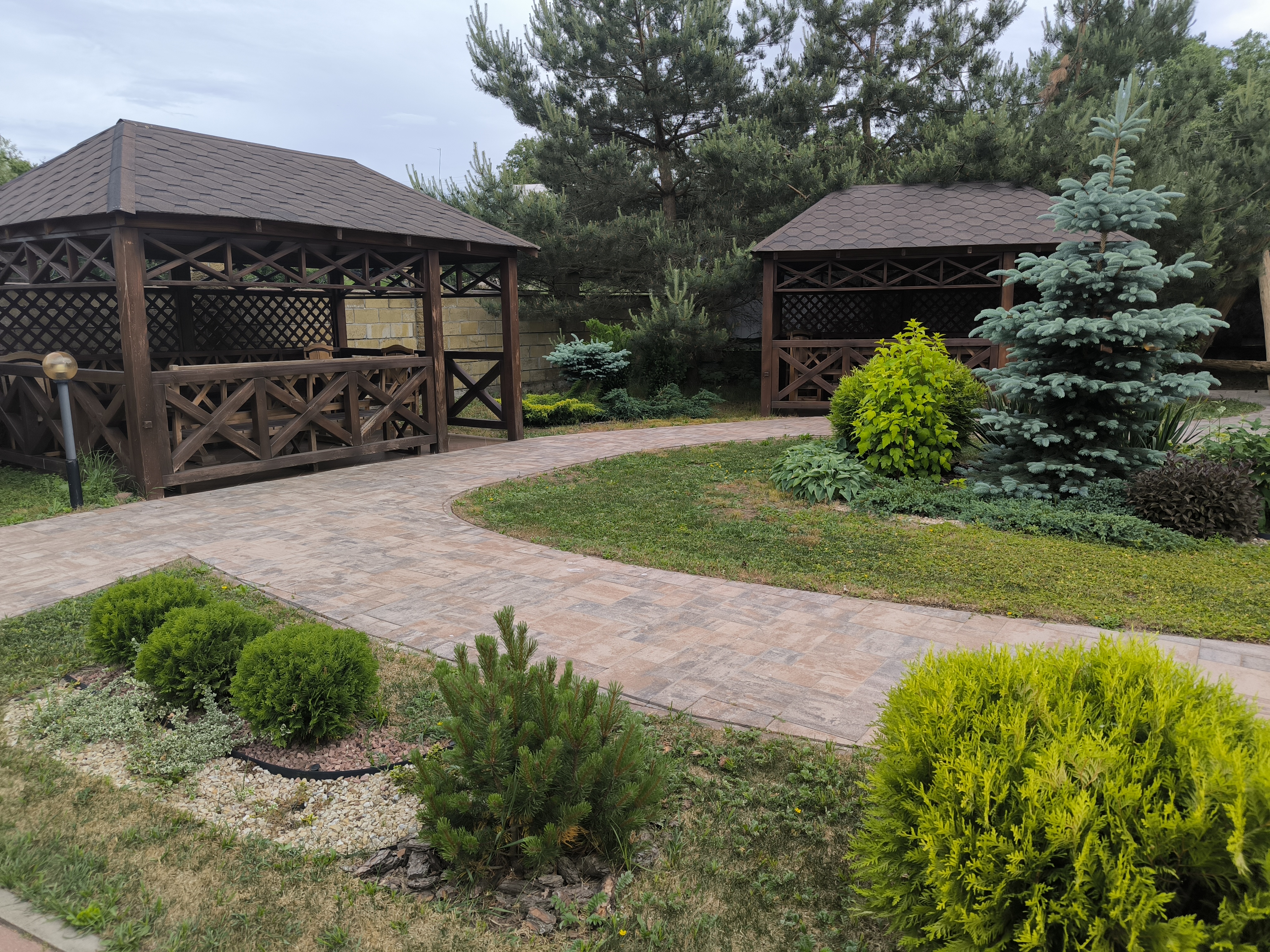 Соната image 13