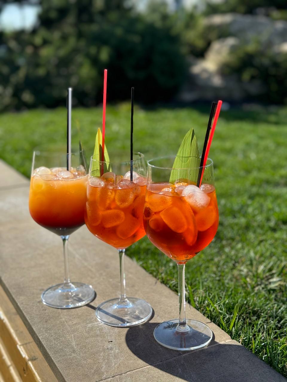 ТЕРАКОТА •сімейний ресторан• image 20