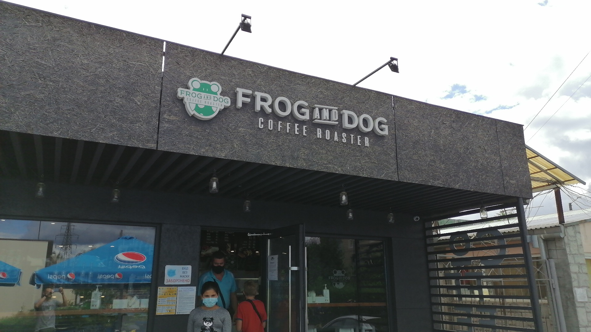 FROG AND DOG image 13
