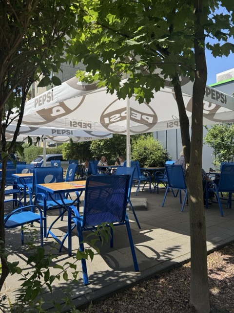 FROG AND DOG image 20