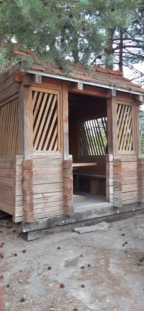 Kafe "Serzhyk" image 8
