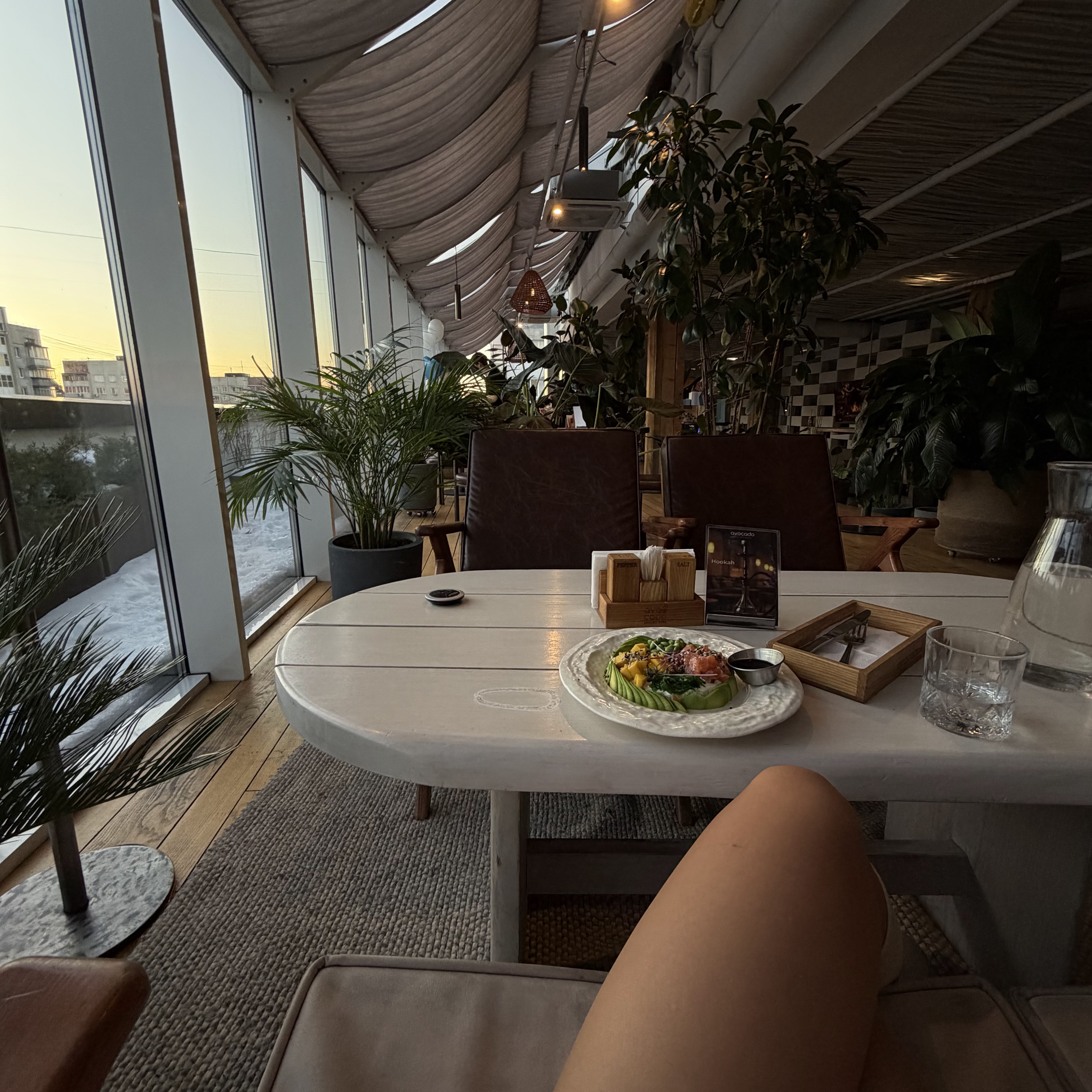 Avocado Organic Food image 15