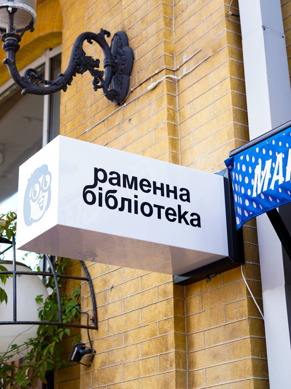 Ramenna Biblioteka image 13