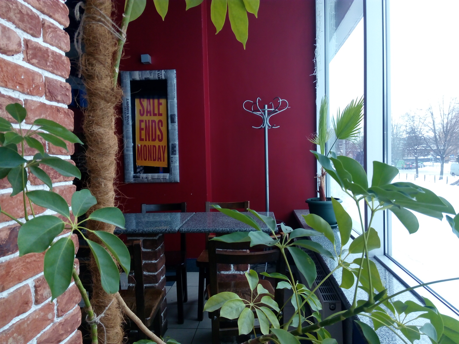 New York Street Pizza image 20