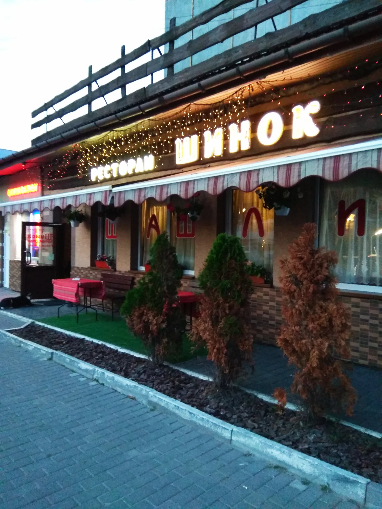 Shynok image 15