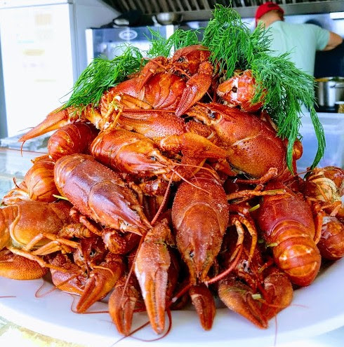 Fast Fish - Швидка Рибка image 7