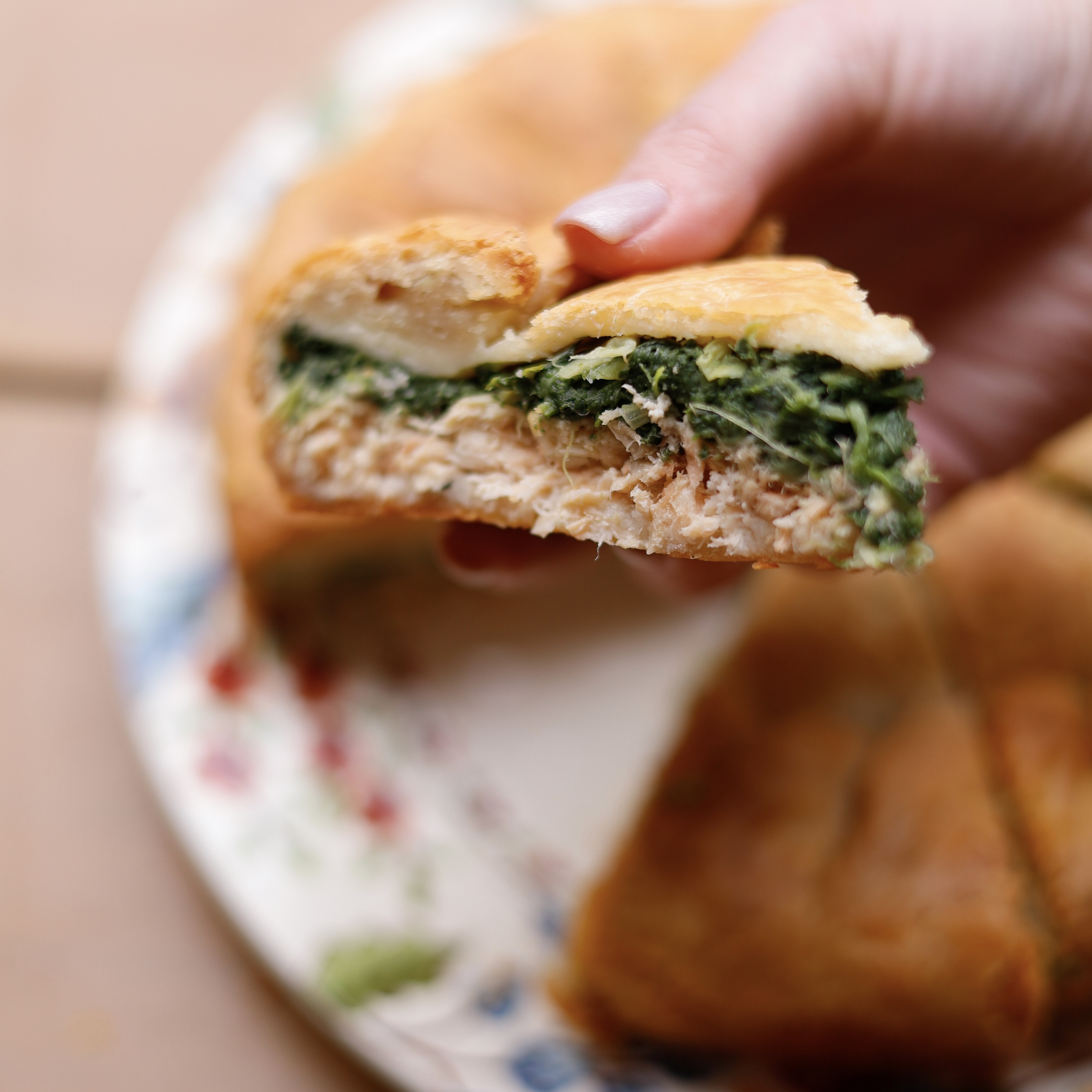 Vasylevi Pyrohy image 17